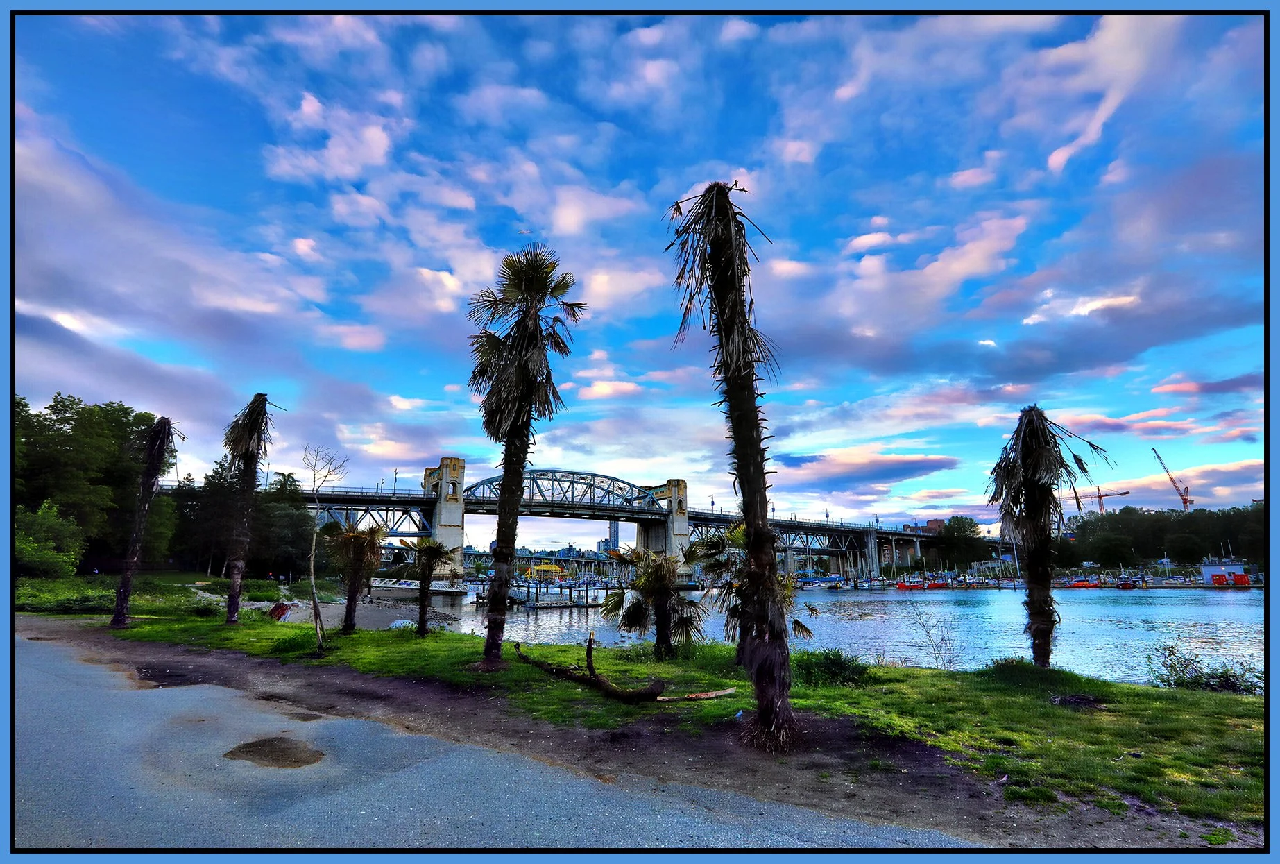 Sunset Beach Palm Trees LkgSE_May 30_2024_HDR_4H9939_peAccntLight_4x6s.jpg