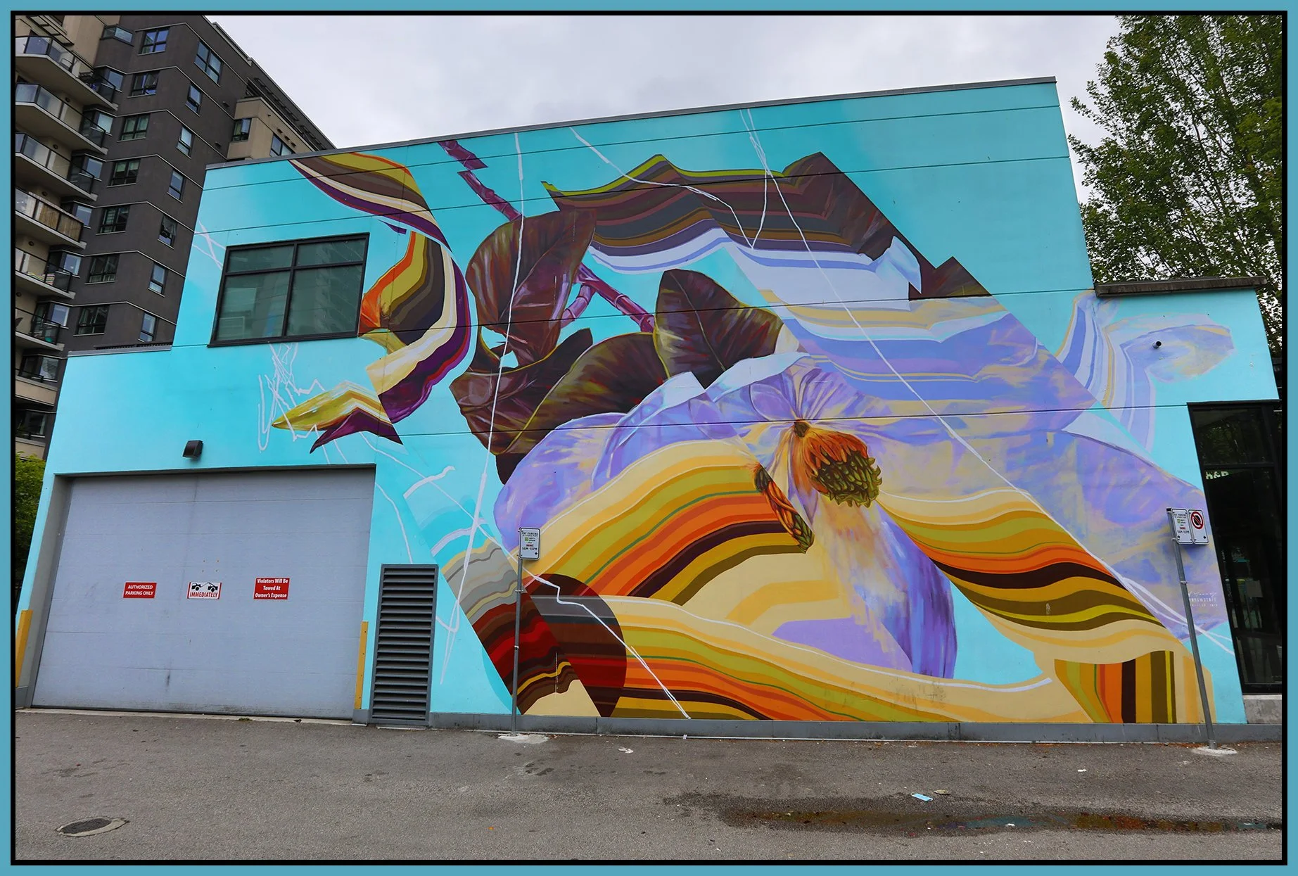 Denman St Alley Mural_Jun 6_2021_HDR_5A7561_4x6s.jpg