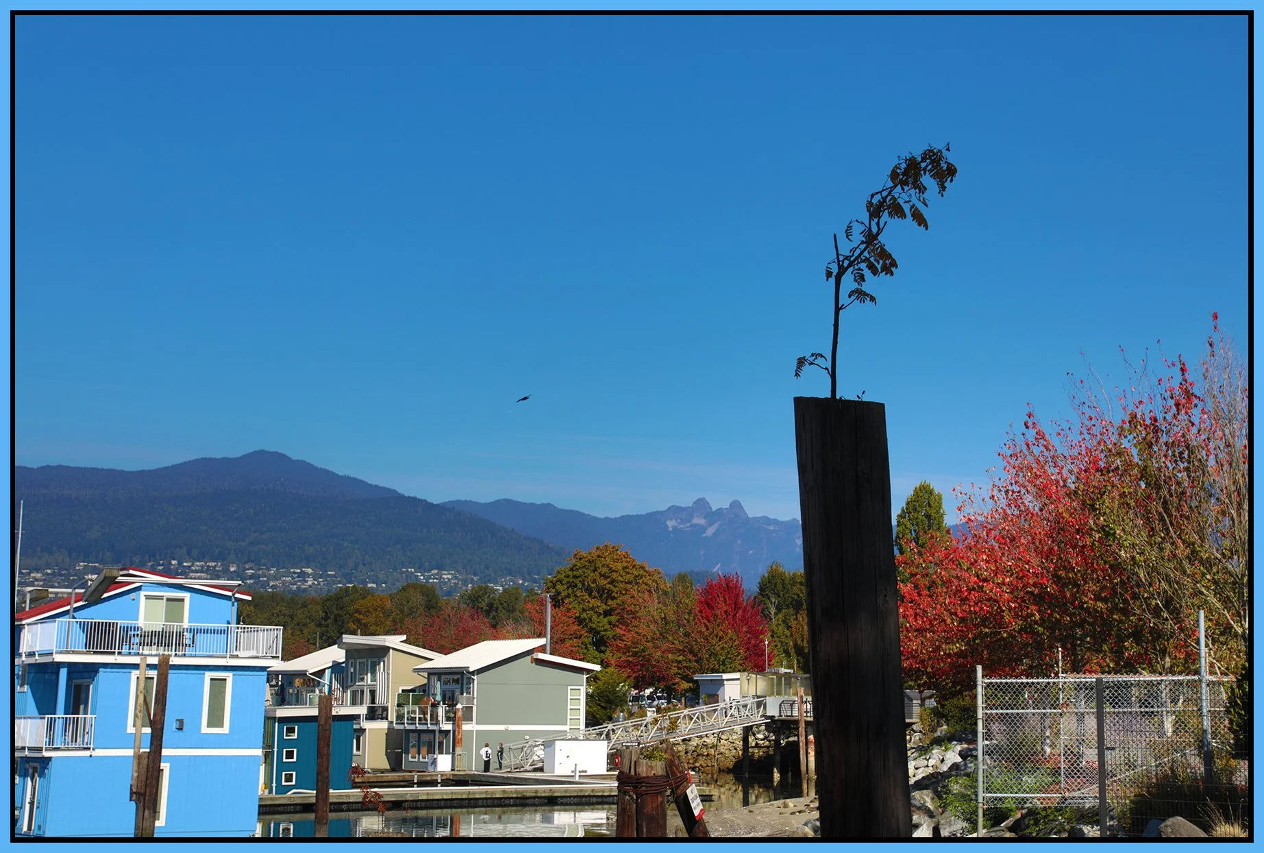North Van Boathouses_Sep 20_2026_HDR_5F6344_4x6s.jpg