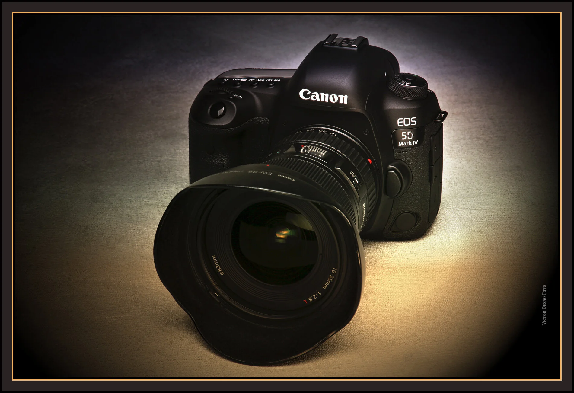 Canon 5D IV_Oct 27_2016_L1724_peIntnsunst_4x6s.jpg