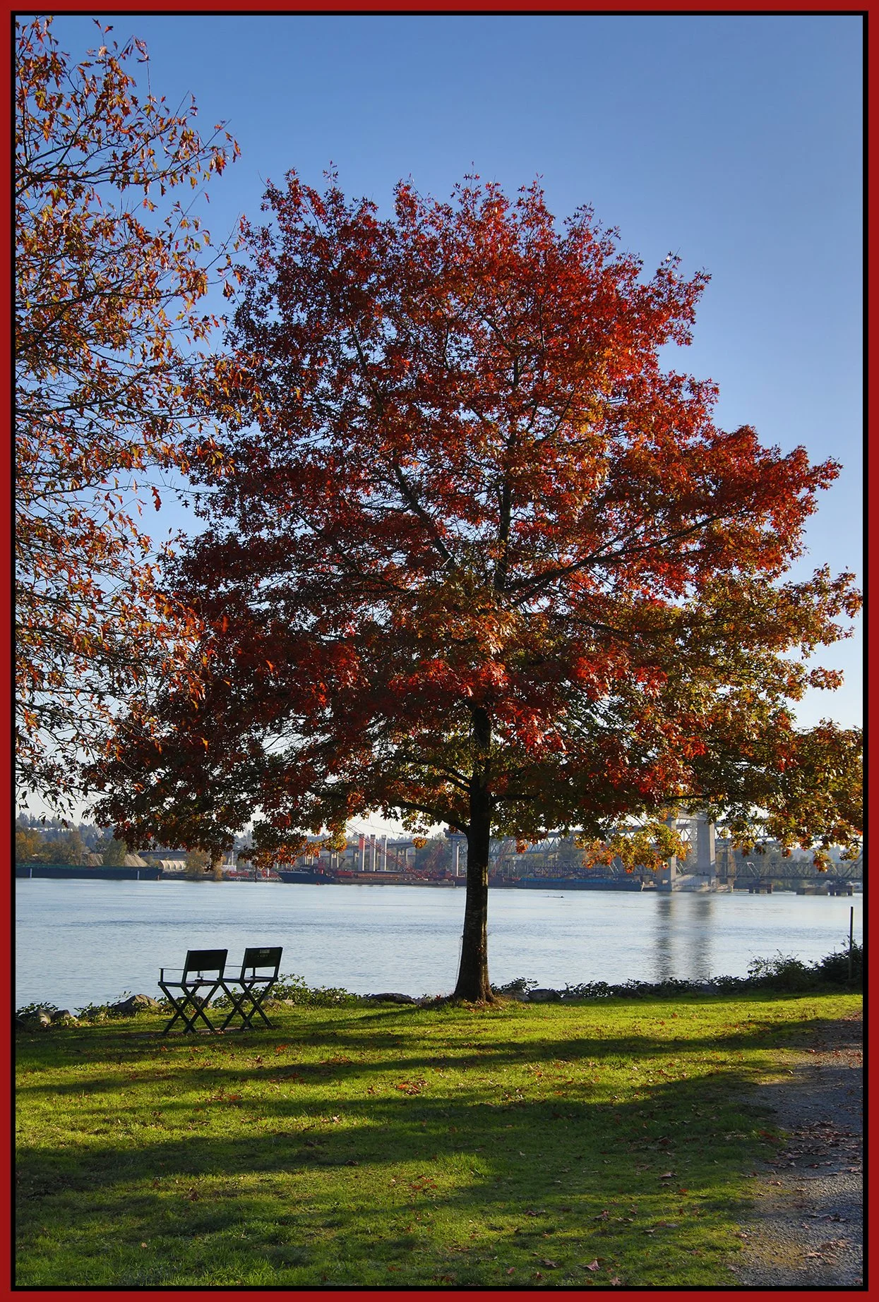 Fraser Regional Greenway Tree LkgSW_Oct 26_2023_HDR_4H8865_4x6s.jpg