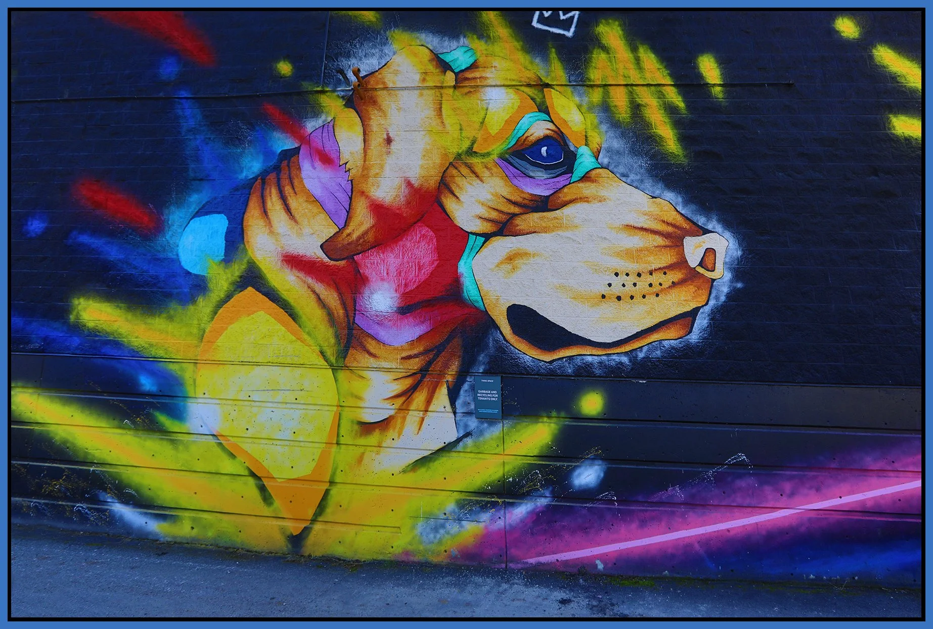 2410 Alma Mural_Sep 30_2024_HDR_5E2078_4x6s.jpg