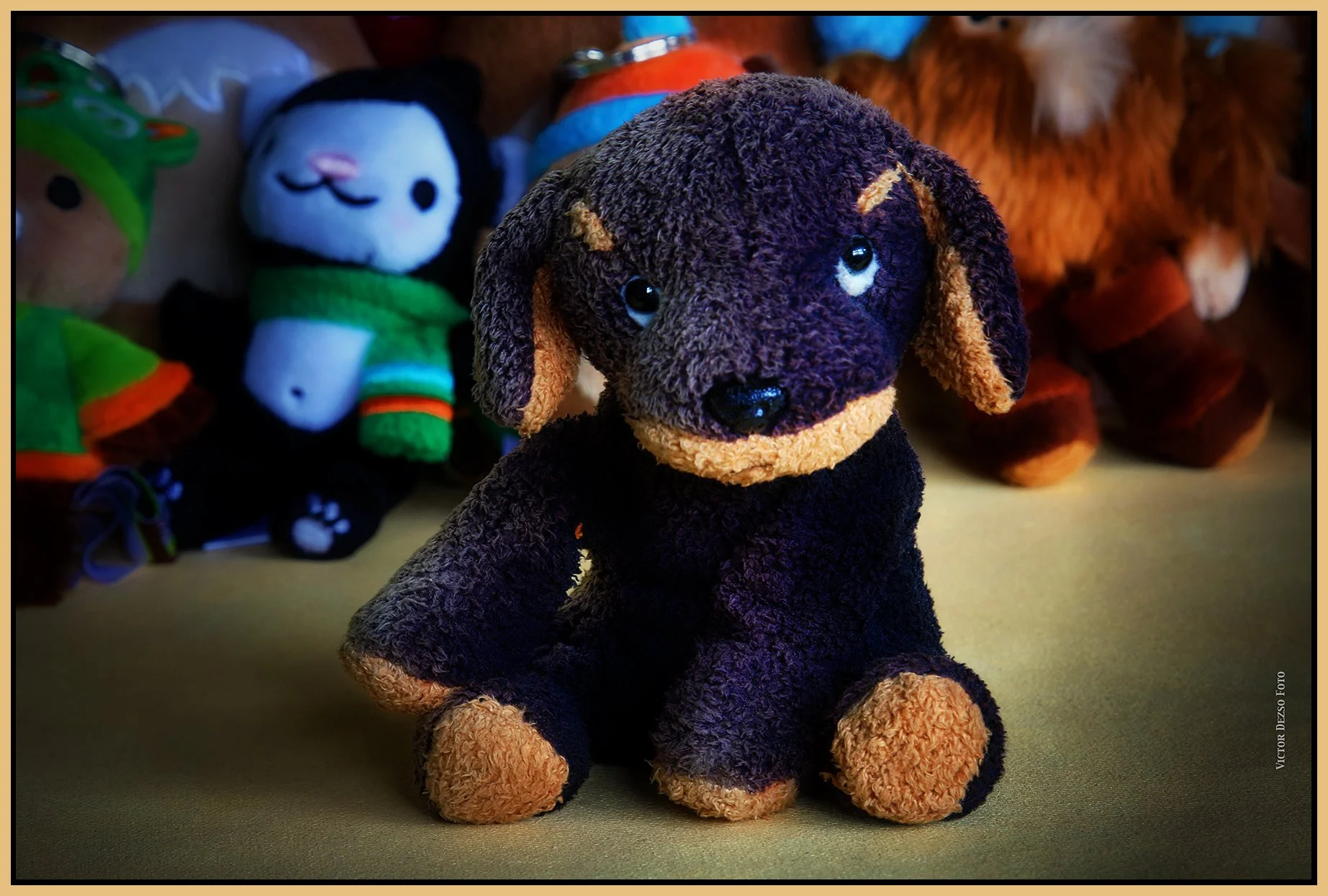 Puppy Tyke_Dec 13_2024_HDR_3B9605_peDrkImpct_Sat&Glow_4x6s.jpg