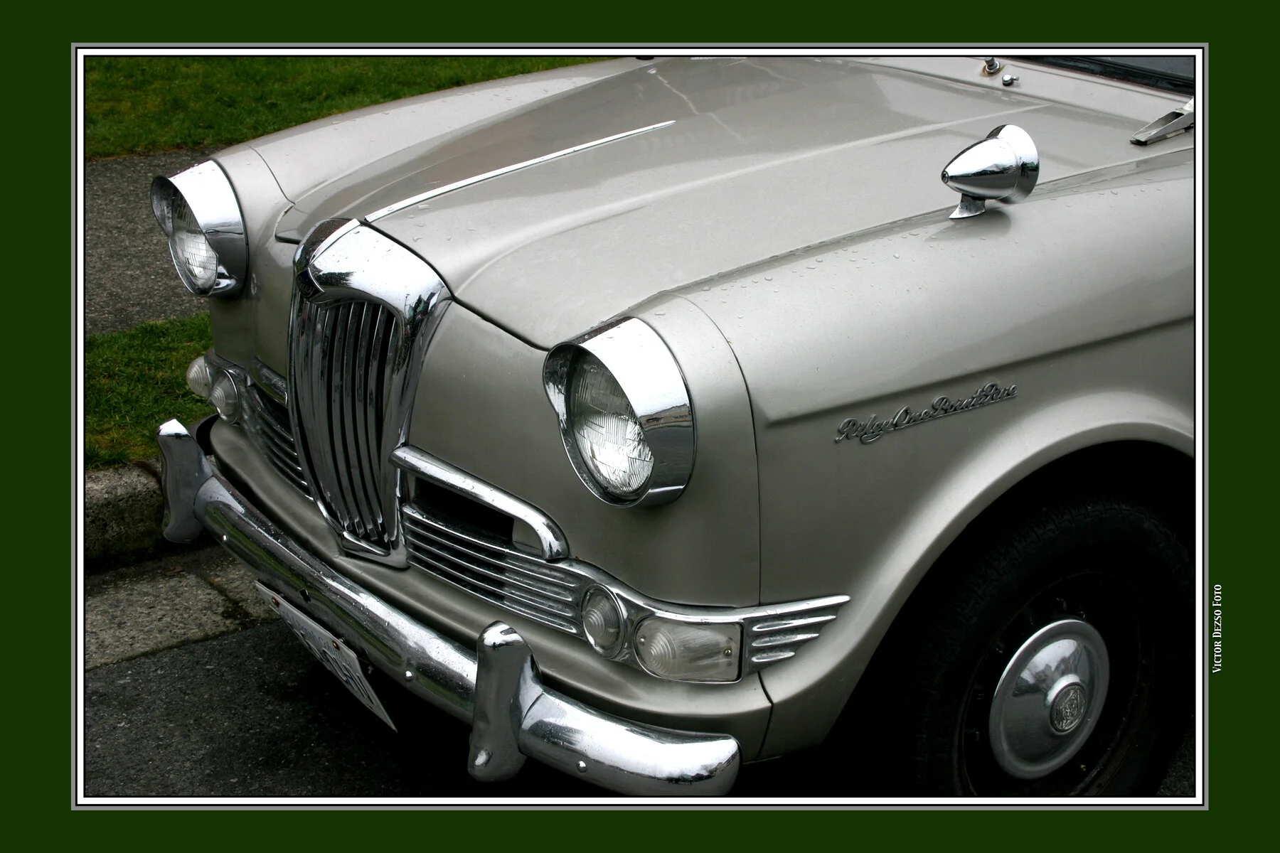 Riley One_7667_4x6.jpg