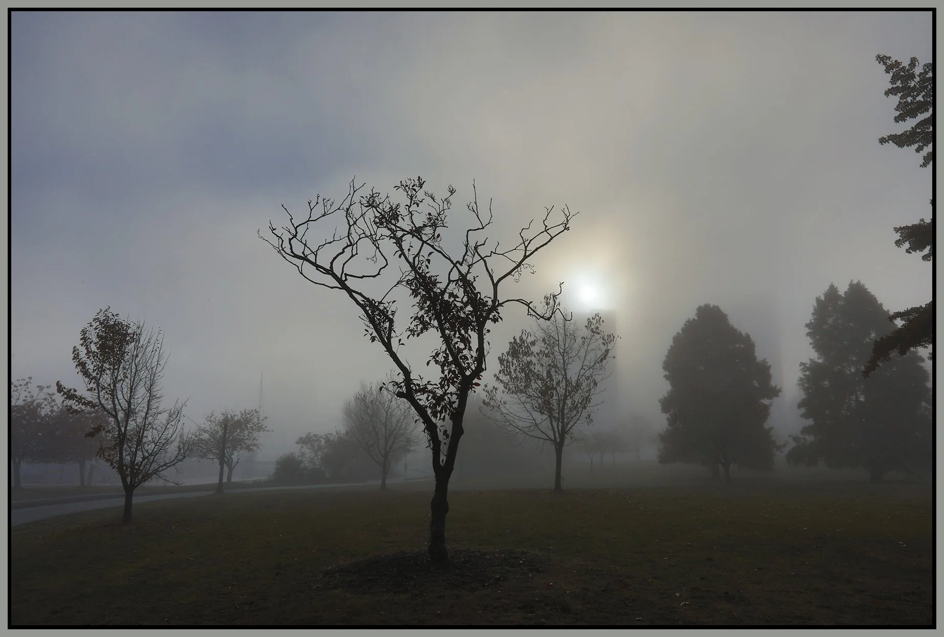Devonian Pk Fog_Nov 15_2022_HDR_5C5962_4x6s.jpg