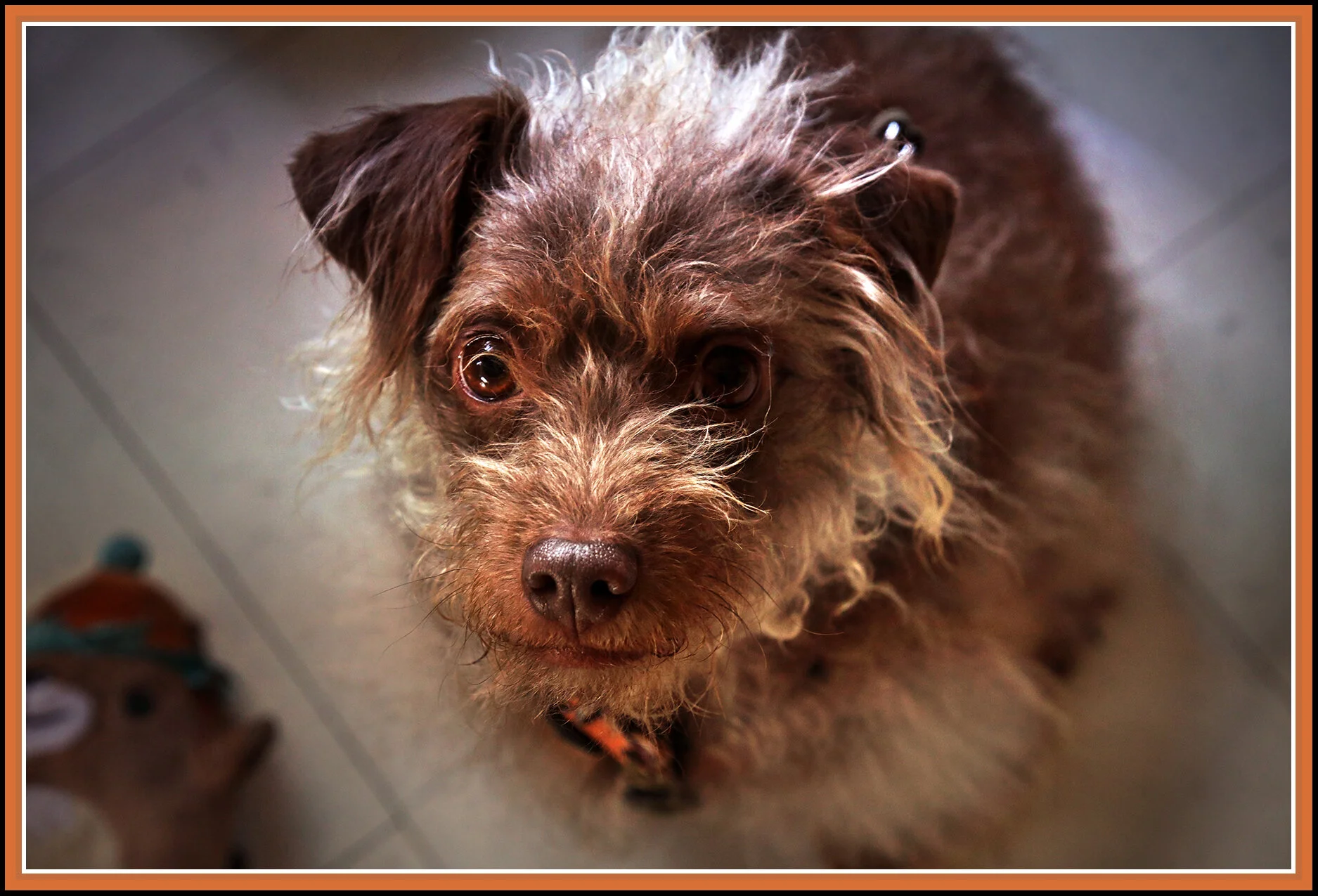 Frances_May 2_2018_C6842_peHdriSunst_4x6s.jpg