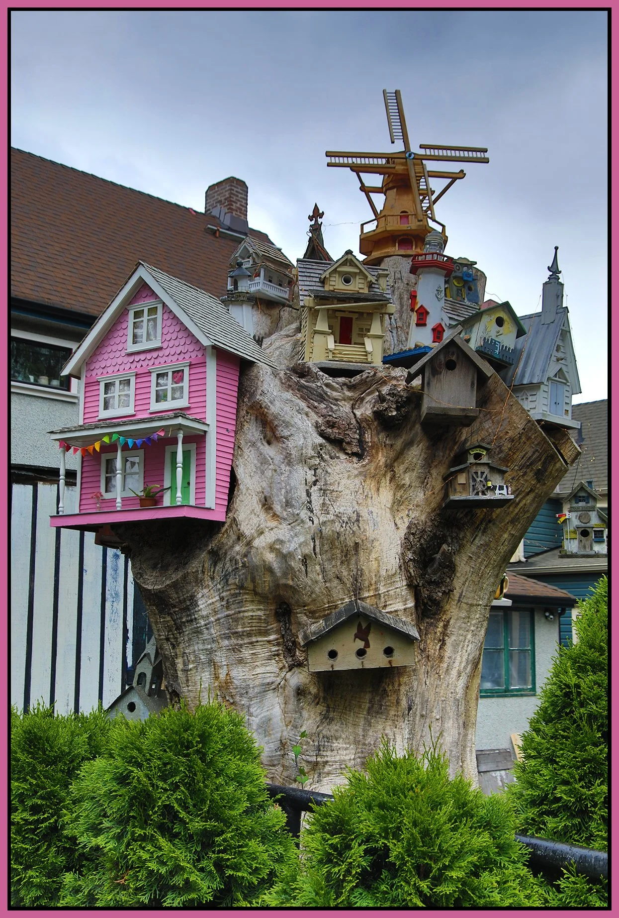 580 Heatley Tree Houses_Jun 22_2028_HDR_4J6517_4x6s.jpg