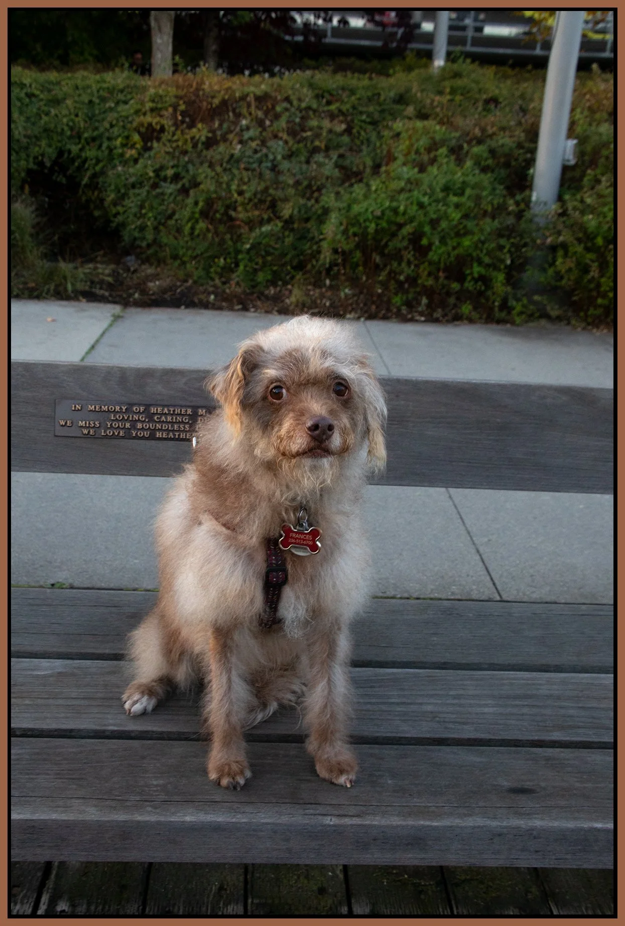 Frances_Oct 24_2024_CR2_5E3489_4x6s.jpg