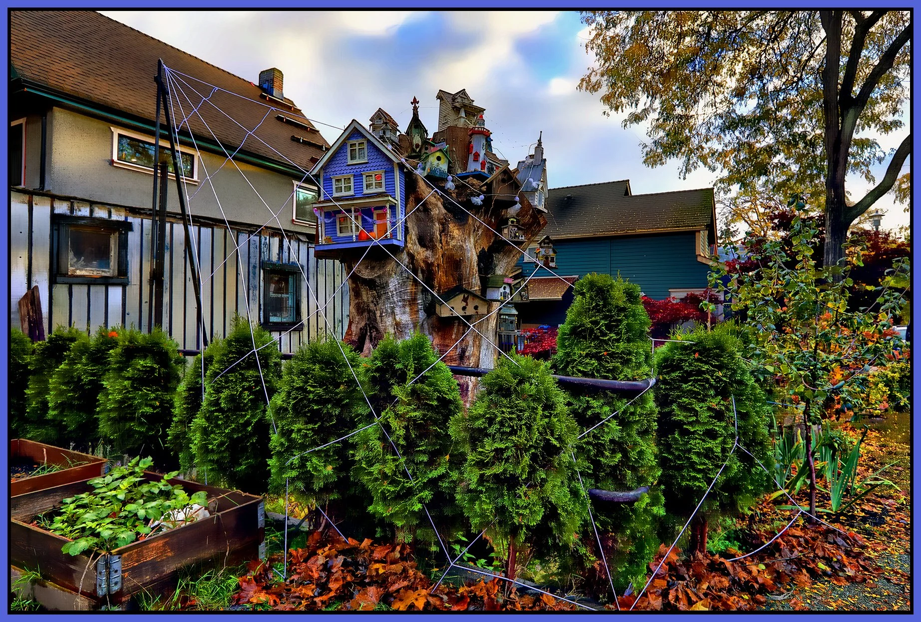 580 Heatley Tree Houses_Oct 28_2024_HDR_5E3759_pePop_NatB2_1_4x6s.jpg