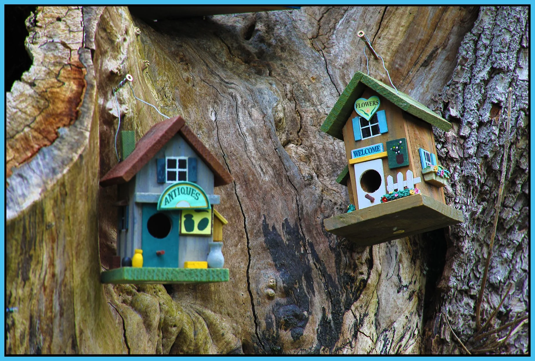 580 Heatley St Tree Houses_May 19_2024_HDR_5E5187_4x6s.jpg