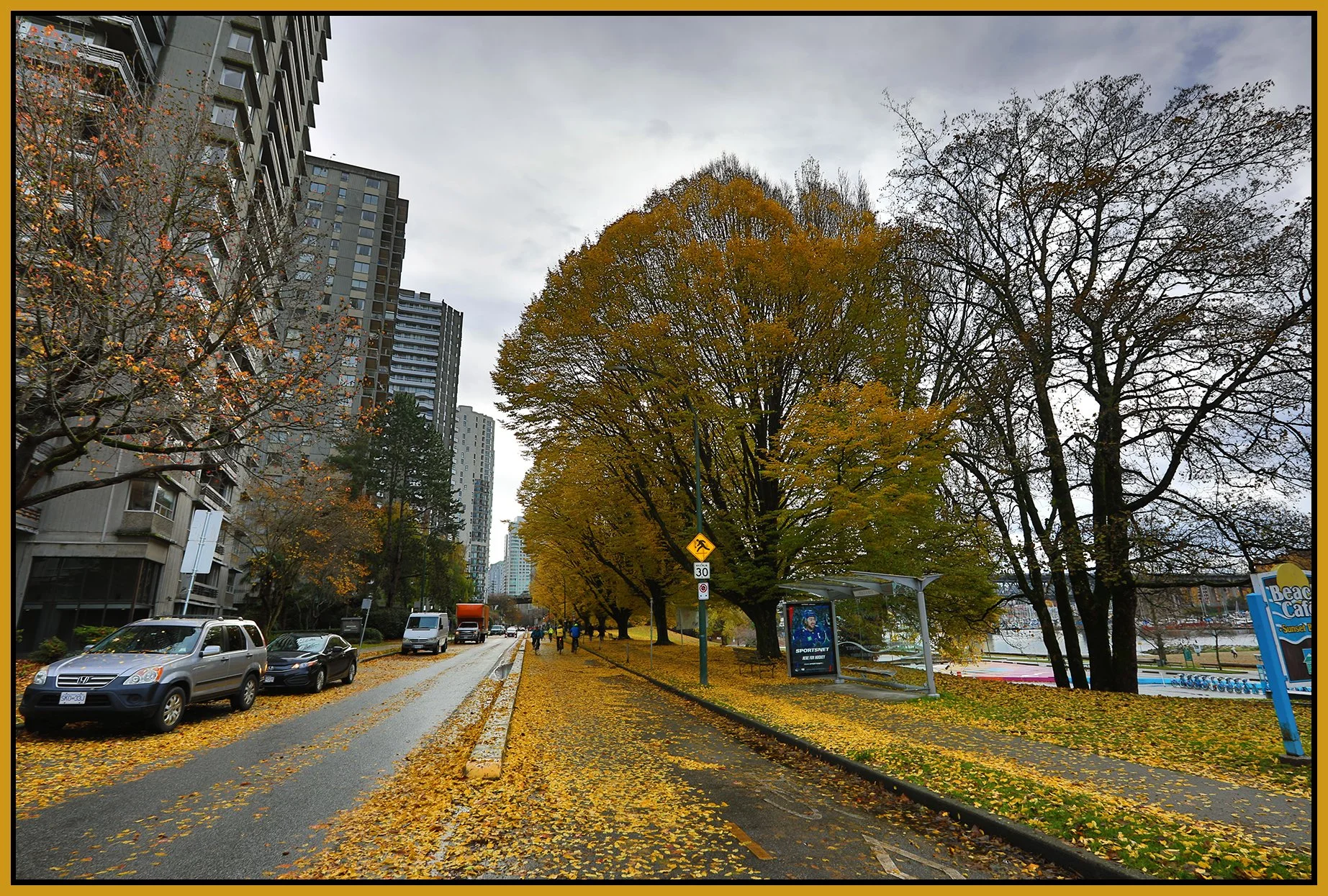 Beach Ave Trees LkgE_Nov 12_2023_HDR_5C9432_4x6s.jpg