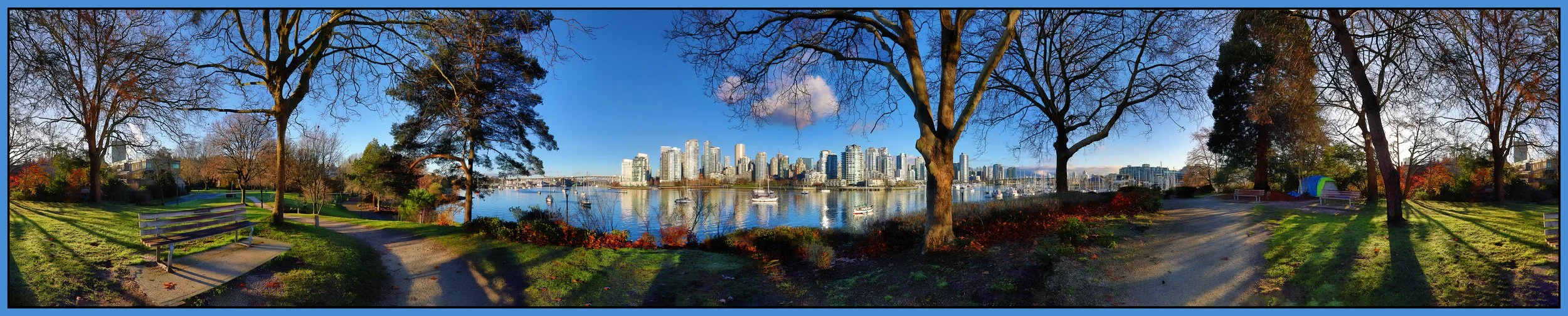 False Creek Trees 360 Vancouver_Dec 8_2023_HDR_Pan_5E2188_1_peShdngCntrst_4x21s.jpg
