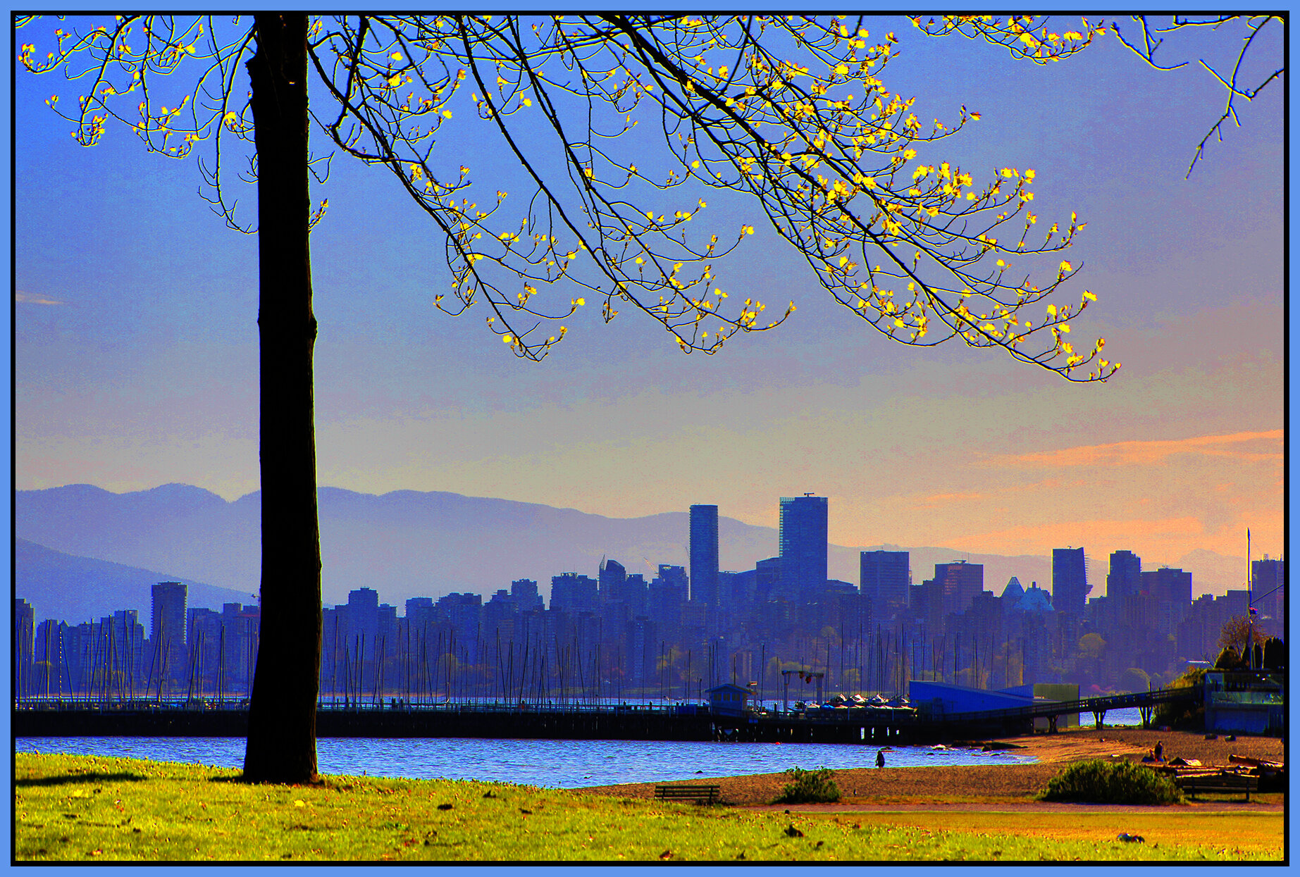 Jericho Beach Tree_Apr 22_2021_HDR_4G7724_peVibrClrs_ExpMrg_4x6s.jpg