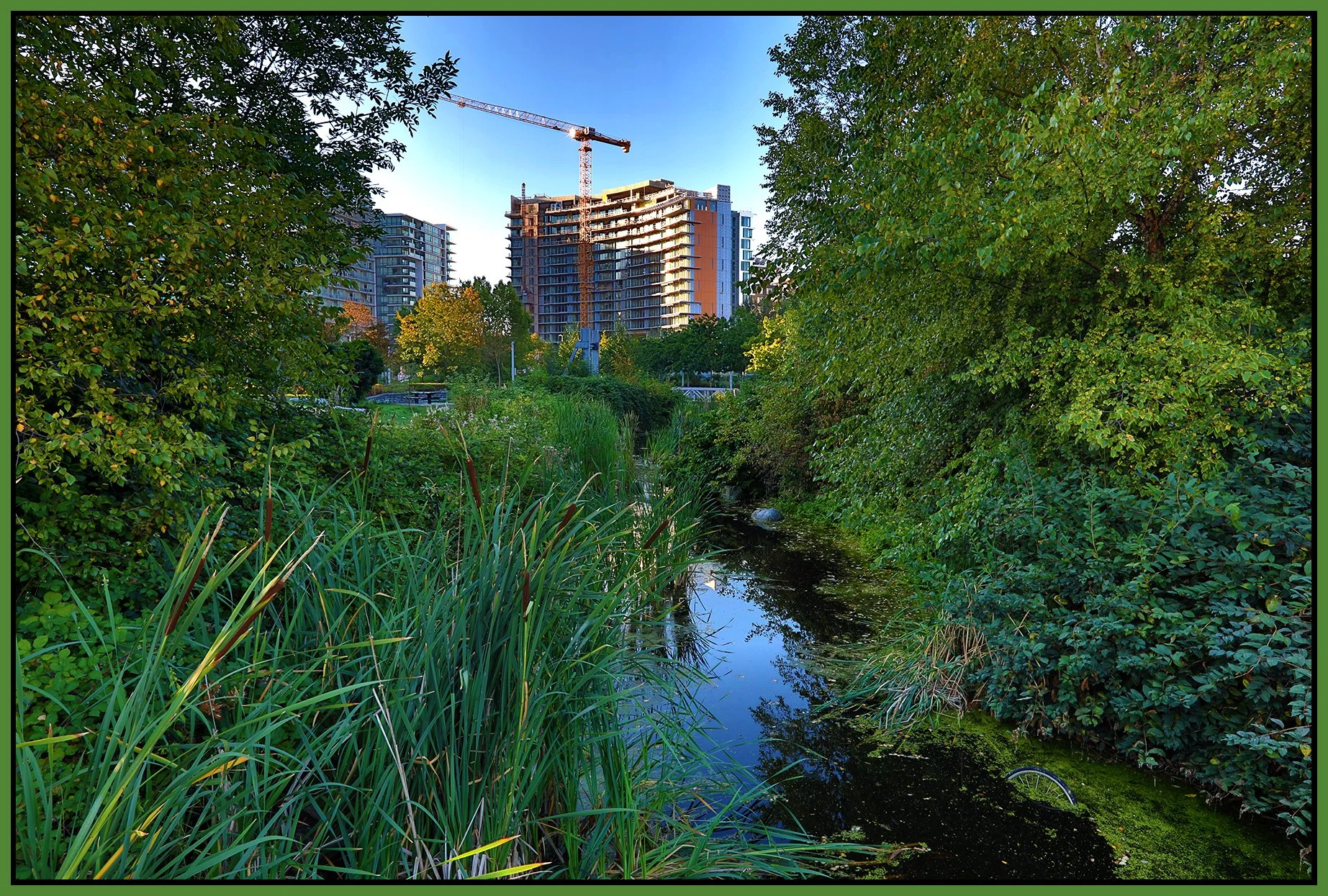 False Ck Creek Const_Sep 9_2020_HDR_4G6065_4x6s.jpg
