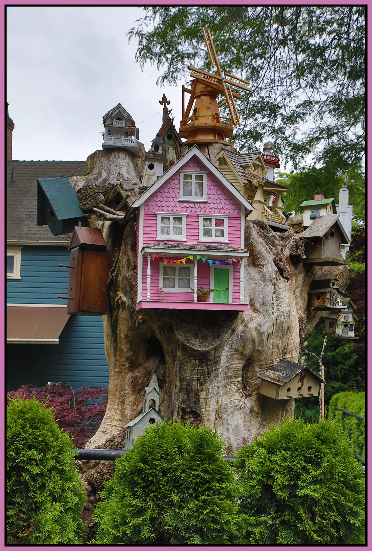580 Heatley Tree Houses_Jun 22_2028_HDR_4J6501_4x6s.jpg