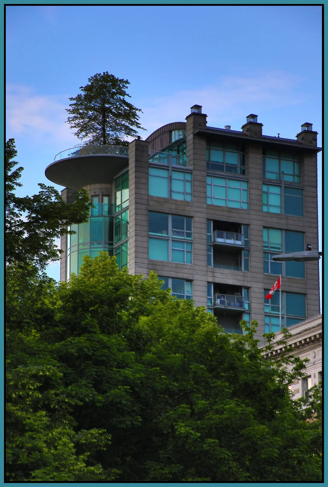English Bay Tree_May 30_2024_HDR_5E5255_4x6s.jpg