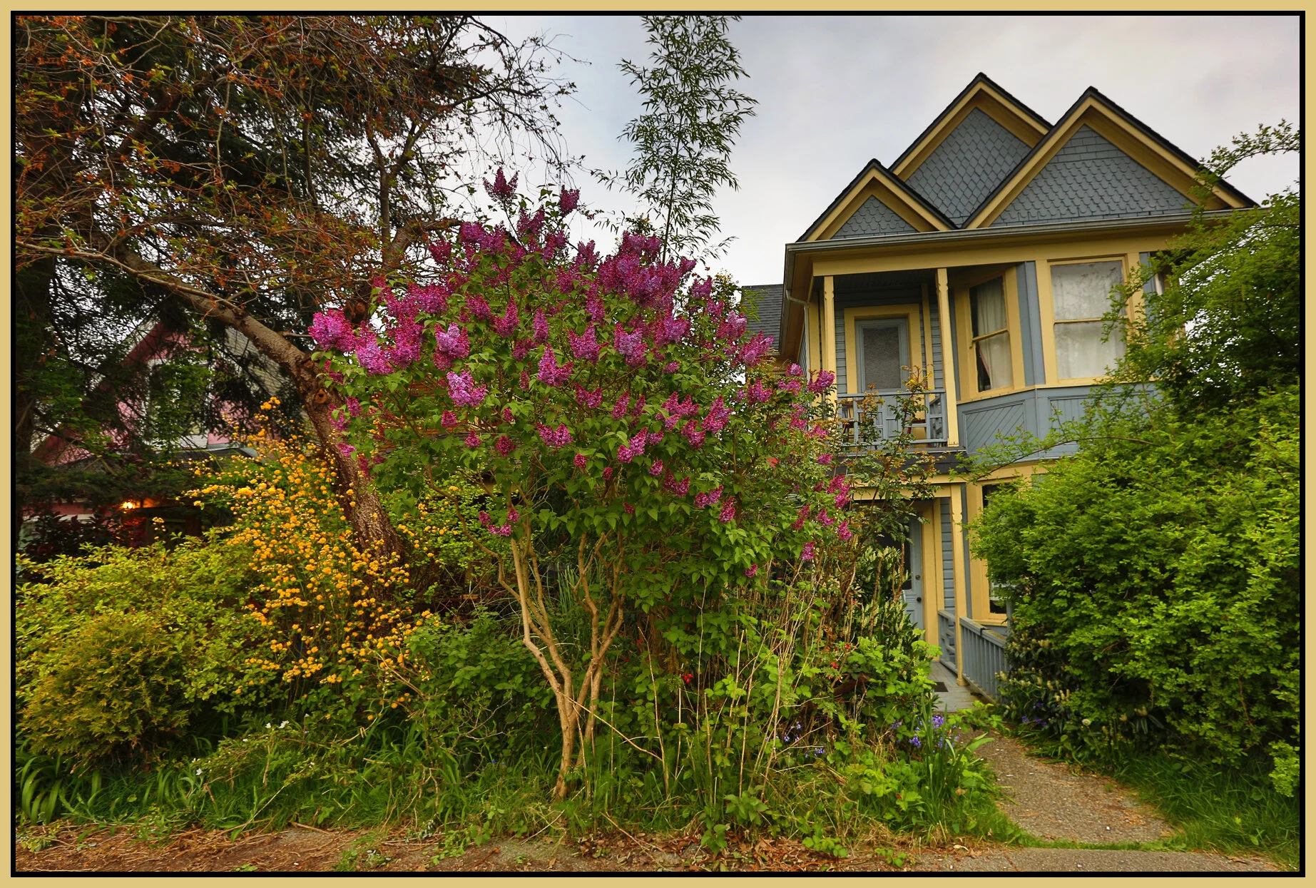 772 E Pender_Apr 10_2016_HDR_K8827_4x6s.jpg