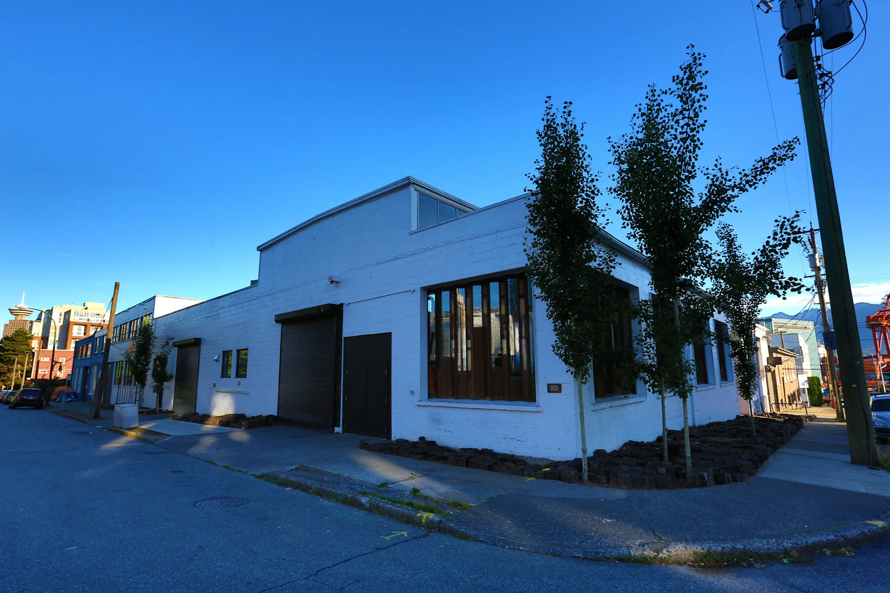 Urban Winery Trees_Jun 17_2016_HDR_L0173_4x6.jpg