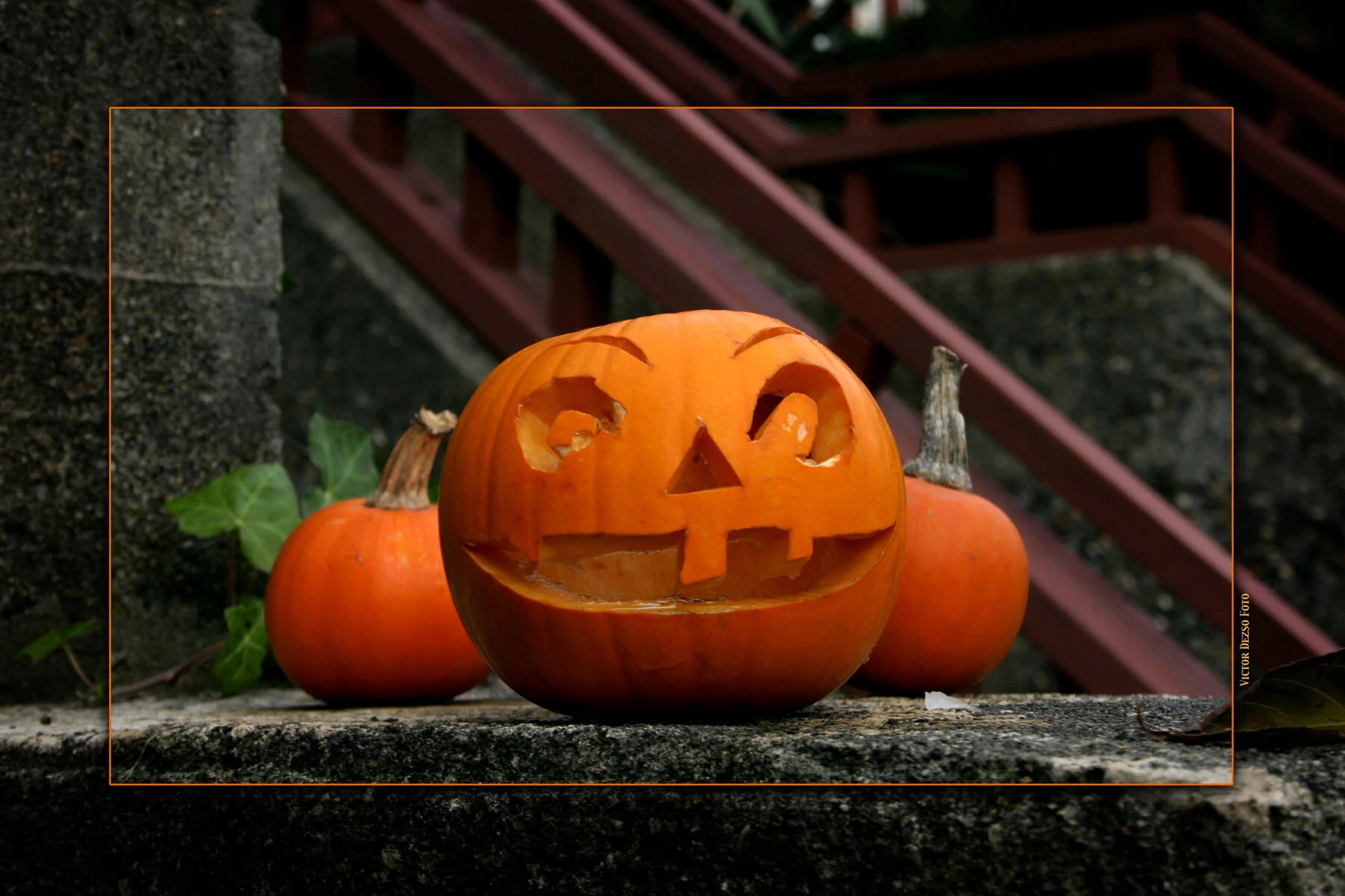 Pumpkin Head_0472_4x6s.jpg