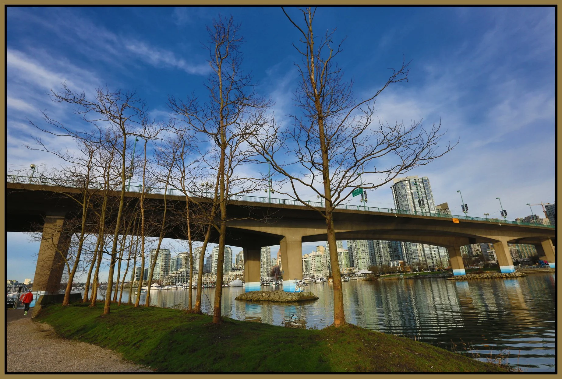 3.1 View Trees_Vancouver_Feb 26_2016_HDR_K8560_4x6s.jpg