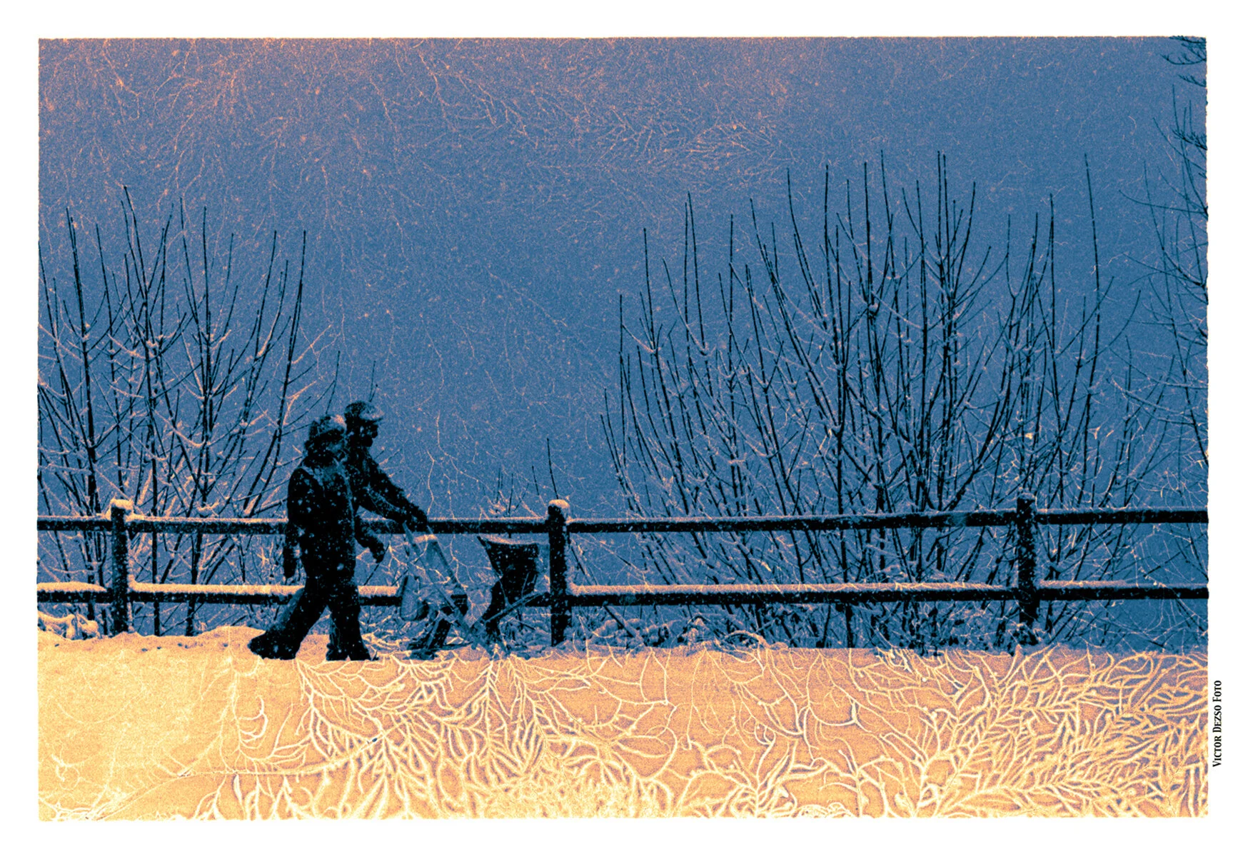 Snow Scene Kits Trees_809a_1_4x6s.jpg