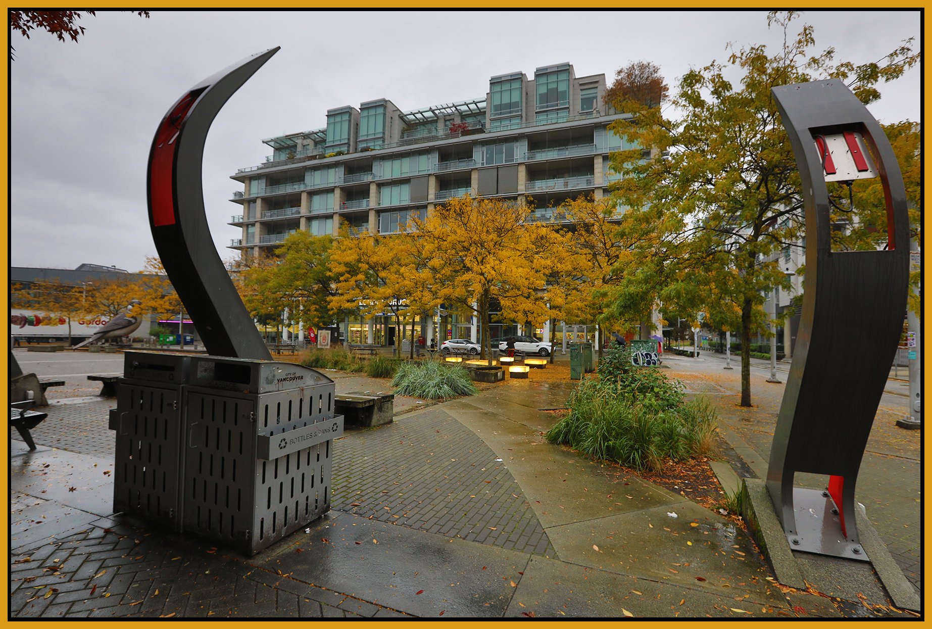 The Village Trees_Oct 14_2024_HDR_5E3032_4x6s.jpg