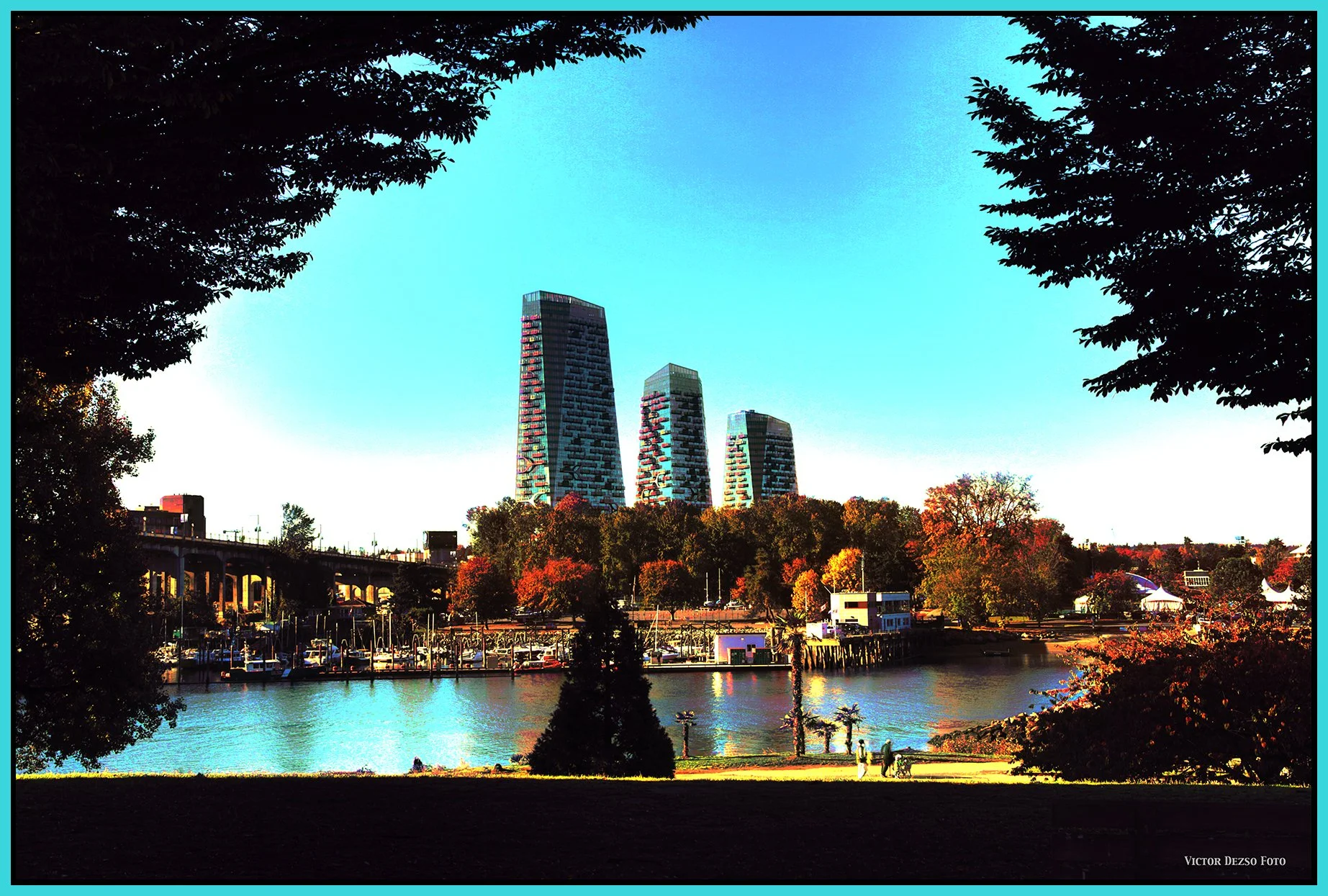 Senakw Trees from Beach Ave _Oct 23_2026_HDR_4L5489_peVintage_4x6s.jpg