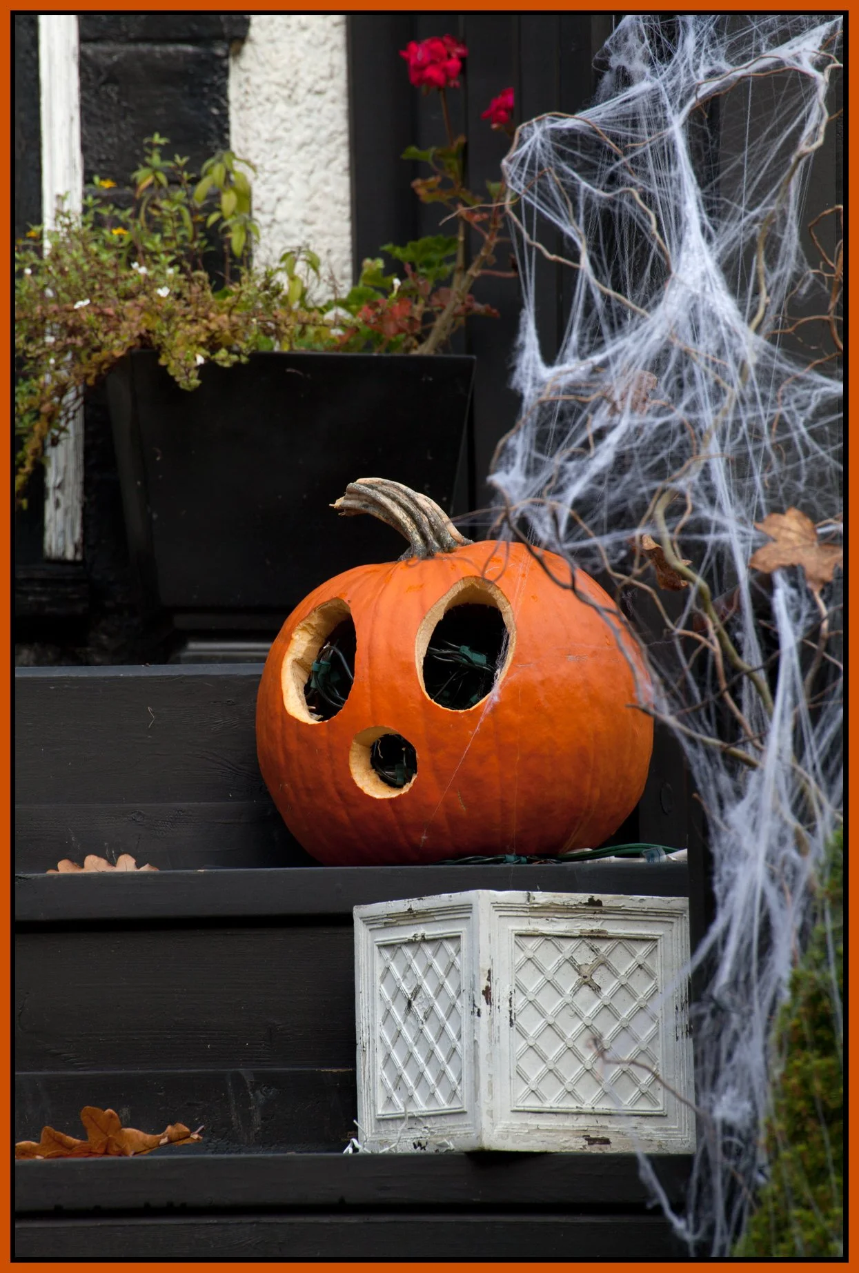 Pumpkins_Nov 10_2013_5912_4x6s.jpg