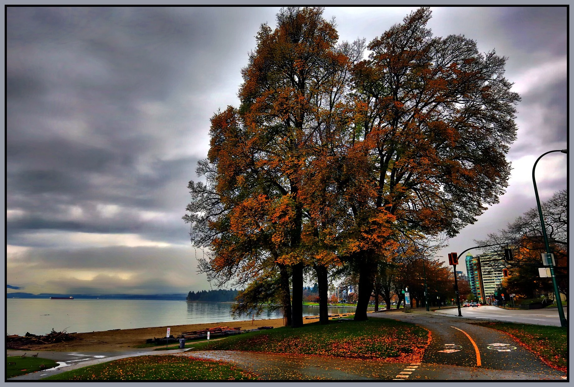 English Bay Trees_Nov 13_2015_HDR_H2094_peAccent_4x6s.jpg