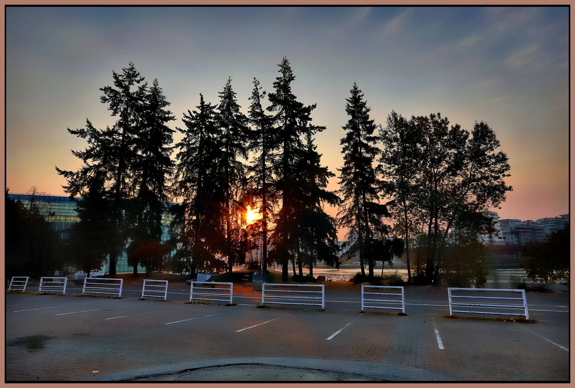 Plaza of Nations Trees LkgSE_Oct 17_2022_HDR_5C3676_peHdr2013_1_4x6s.jpg
