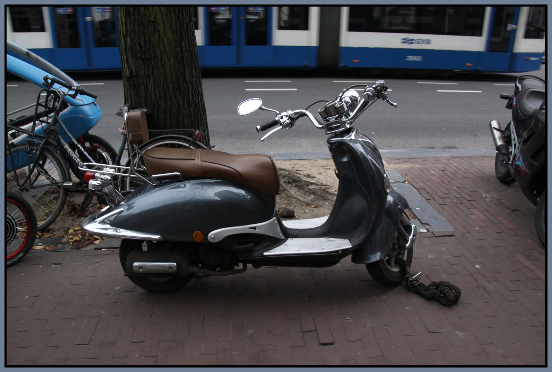 Amsterdam bikes_Nov 8_2011_6727_4x6s.jpg