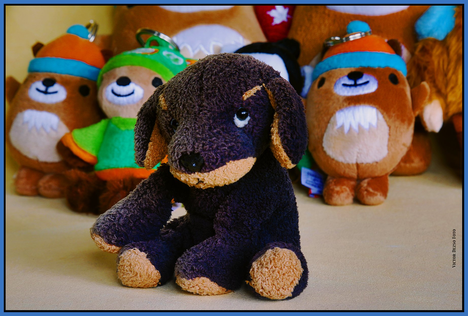 Puppy Tyke_Dec 13_2024_HDR_3B9613_peEWGT_4x6s.jpg