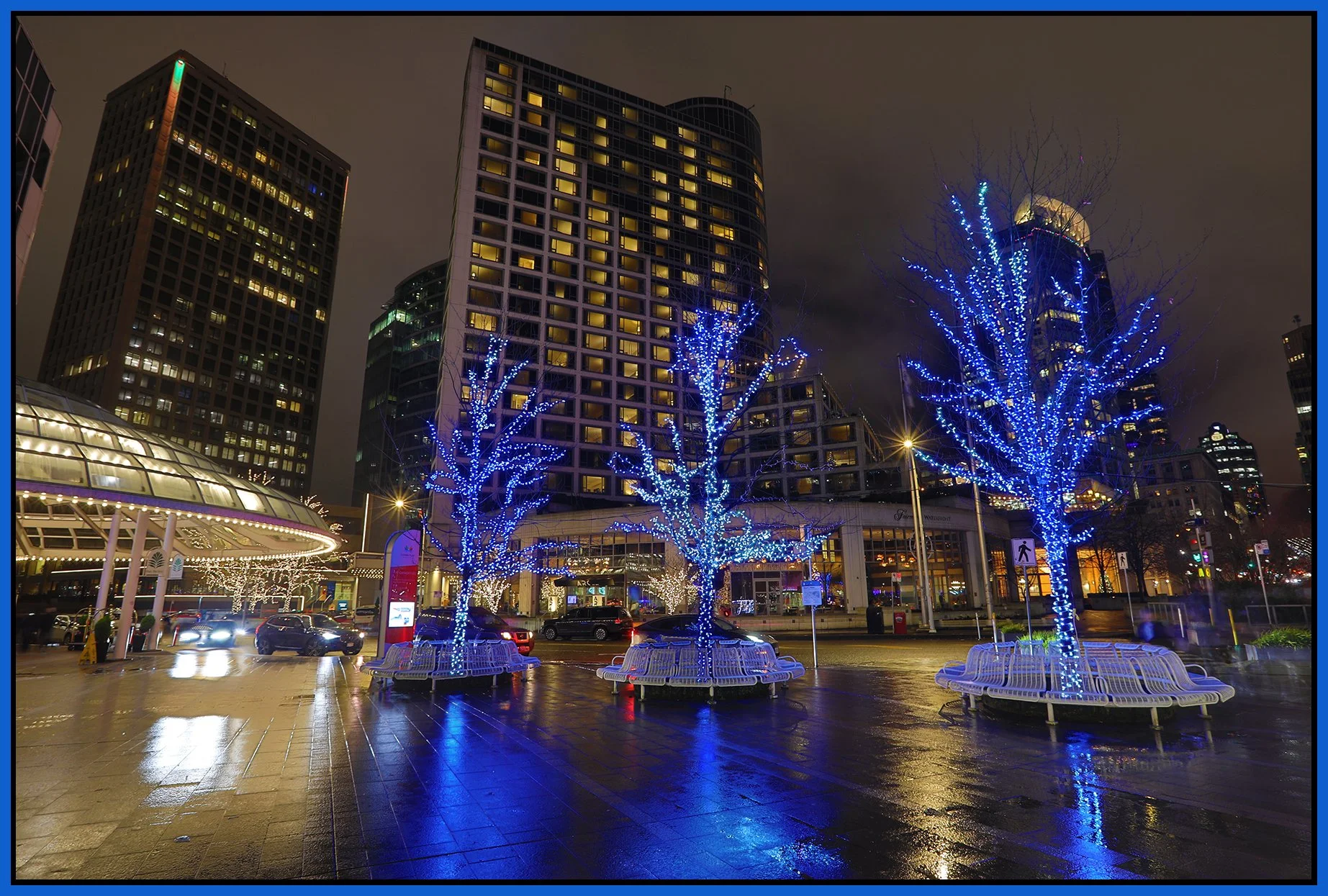 Canada Place Trees_Dec 29_2024_HDR_4J5045_4x6s.jpg