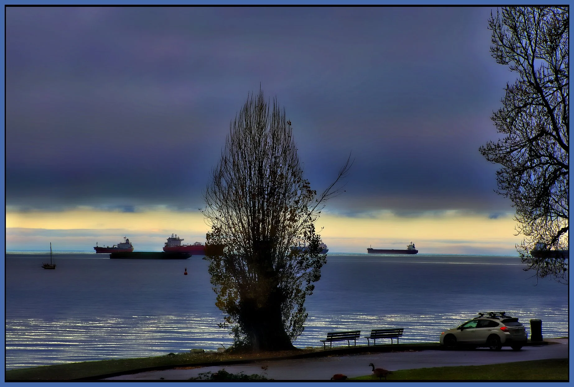 English Bay Tree_Dec 11_2023_HDR_5E2268_peHdr2013_1_4x6s.jpg