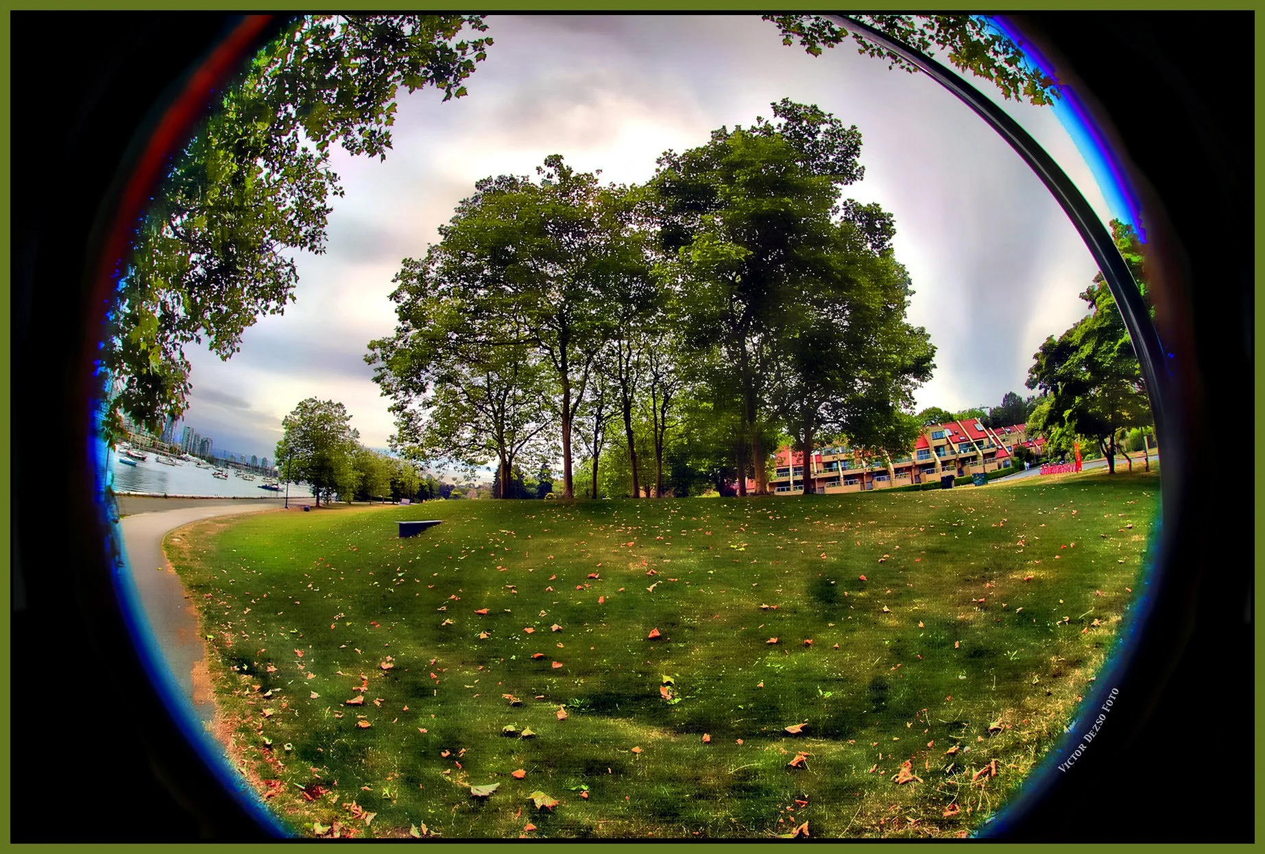 Charleson Park Trees_Jul 2_2025_HDR_5F5095_peHdr2013_1_4x6s.jpg