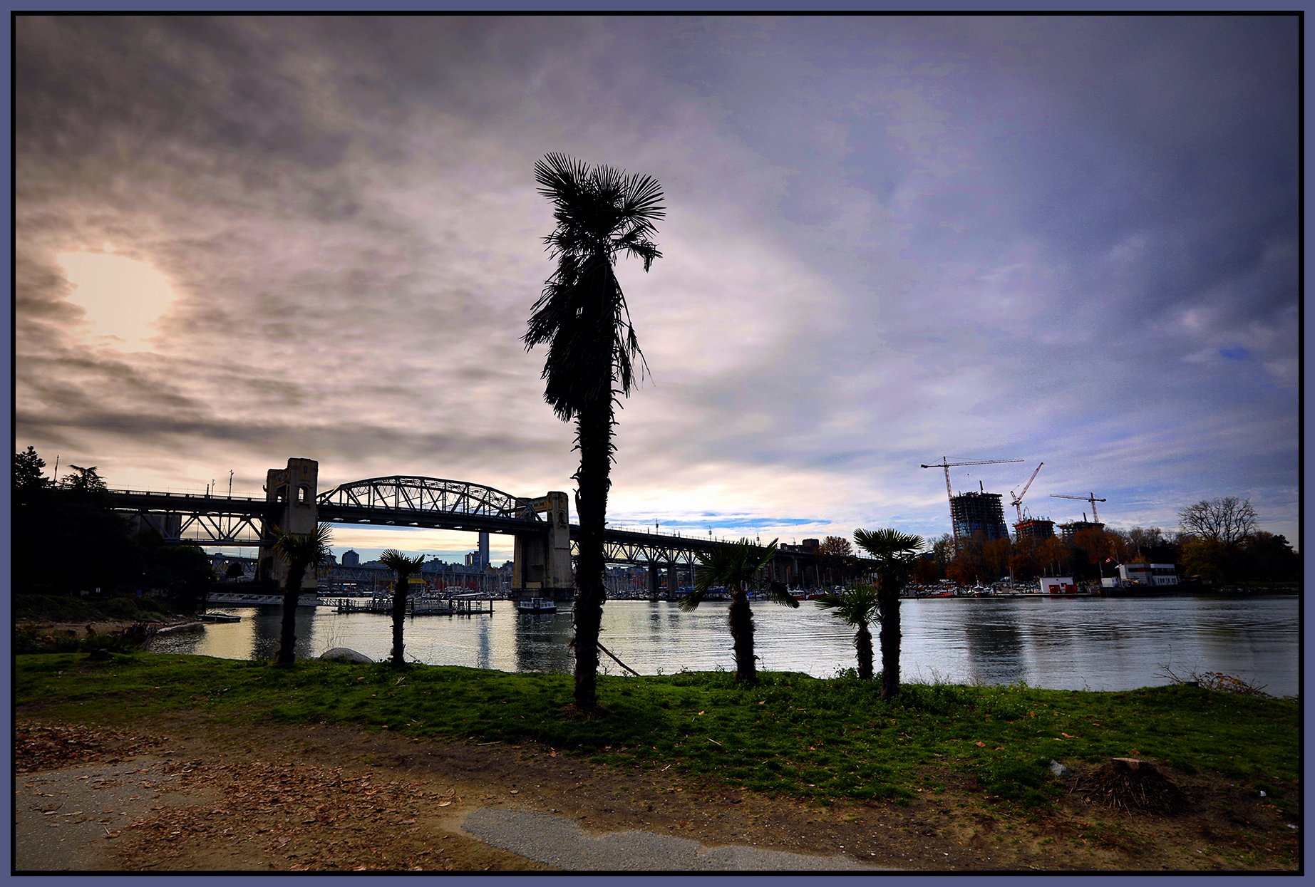 English Bay Palms_Nov 7_2024_HDR_5E4327_peDrkImpct_Hyprstrip_4x6s.jpg