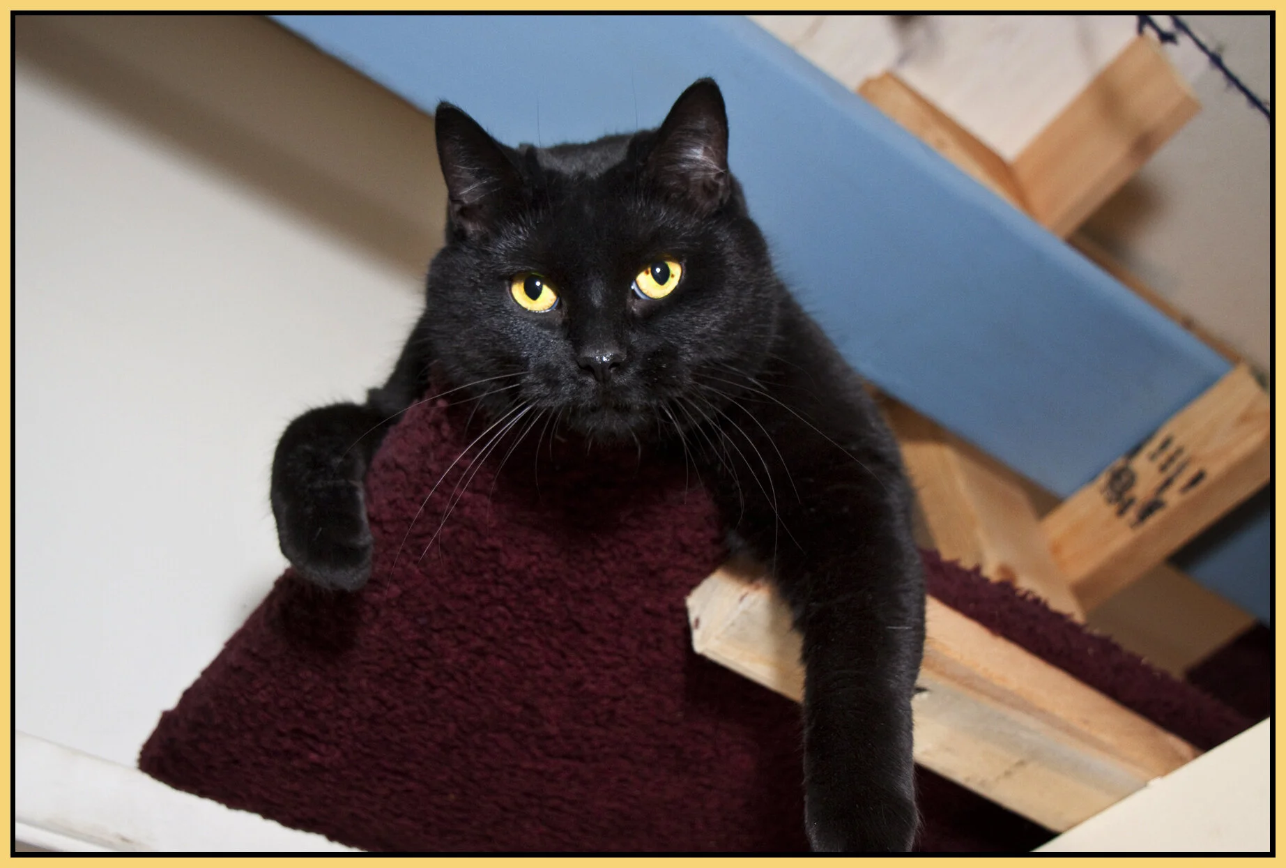 CC_Sep 20_2010_4453_4x6s.jpg