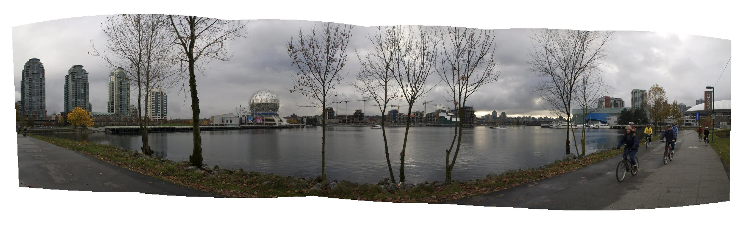 6 View Trees_Nov 2008_8223_Pan_4x12s.jpg