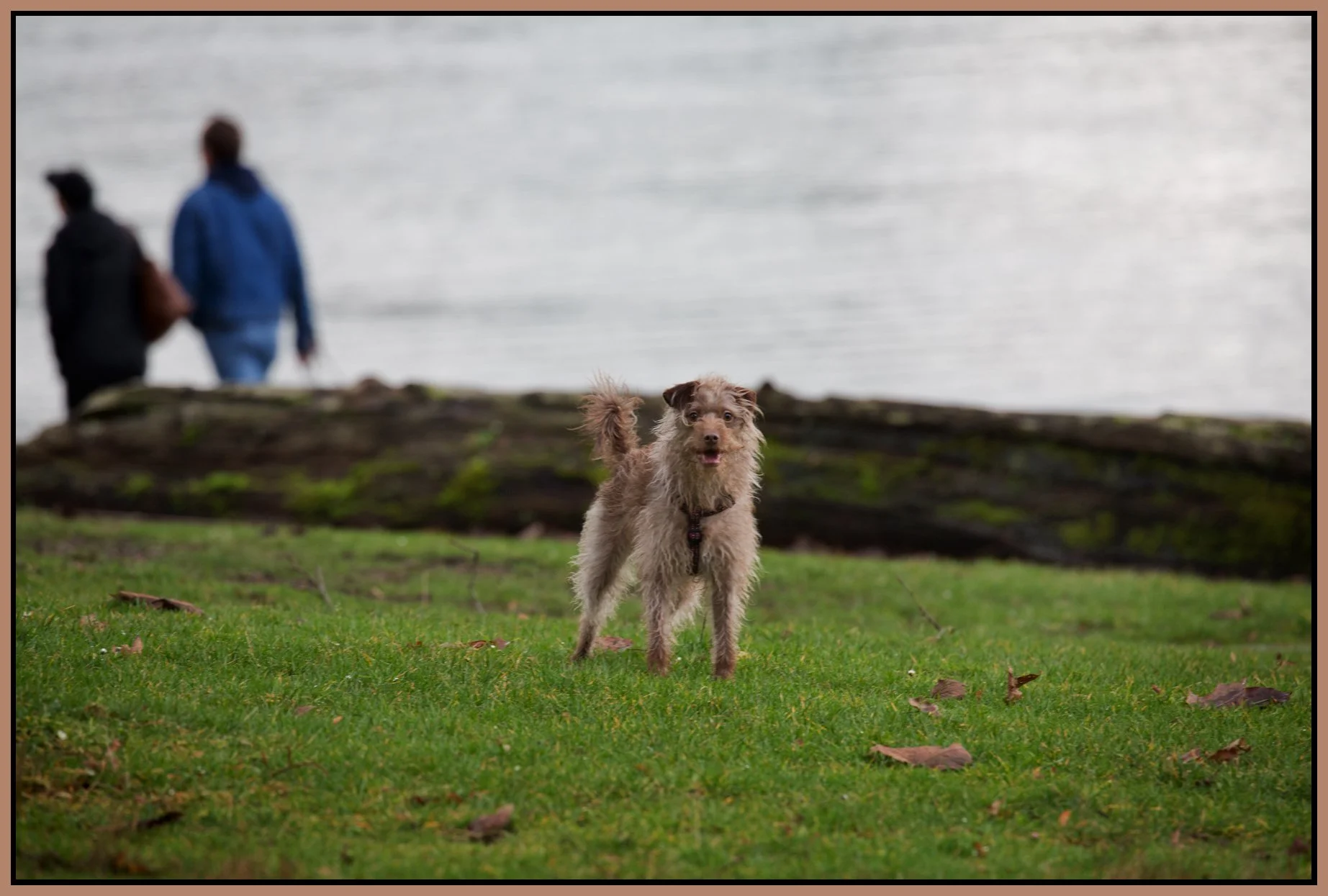 Frances in Cates Pk_Jan 24_2016_K7105_4x6s.jpg