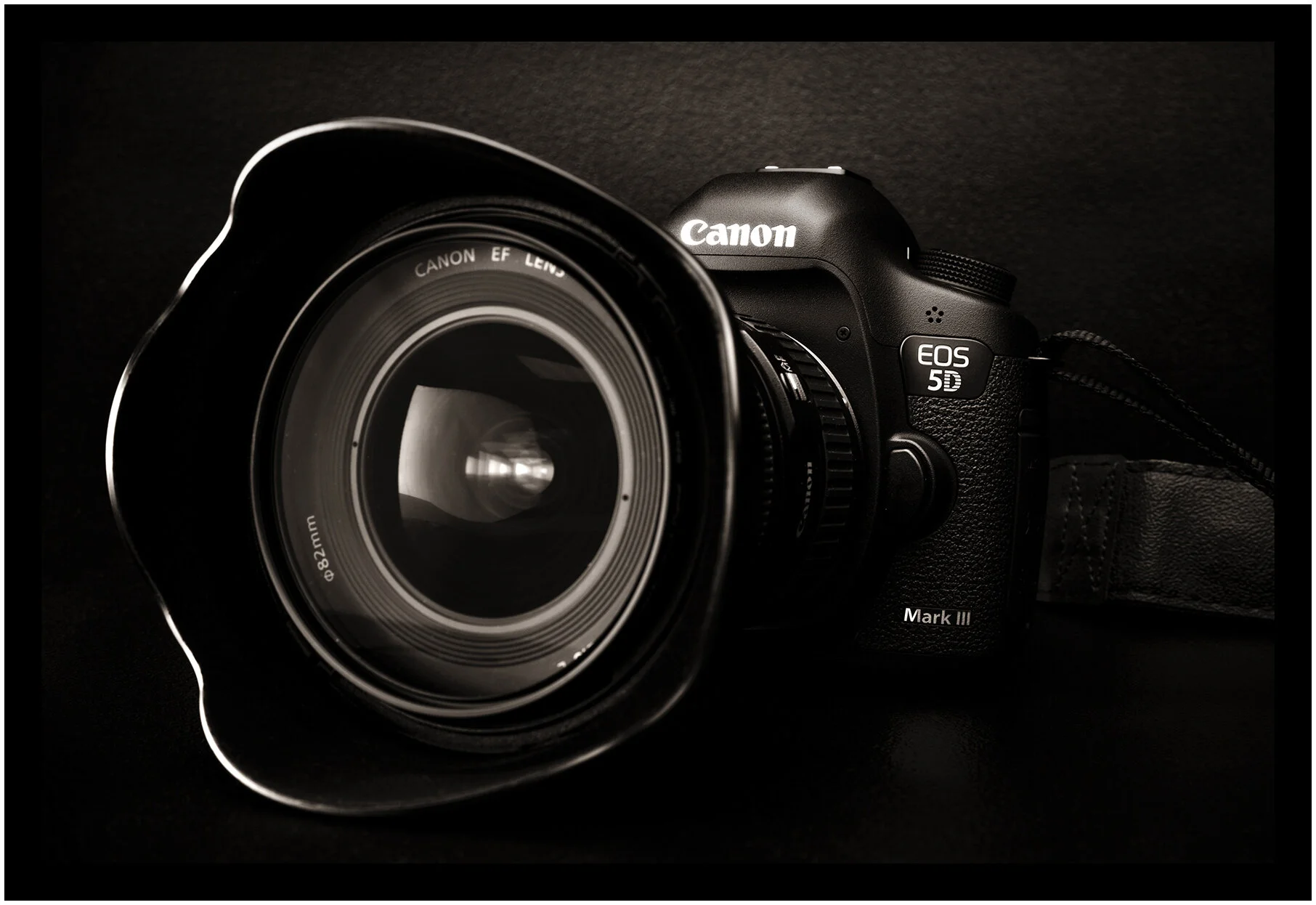 Canon 5D MkIII_Mar 29_2012_1106vP1_4x6s.jpg