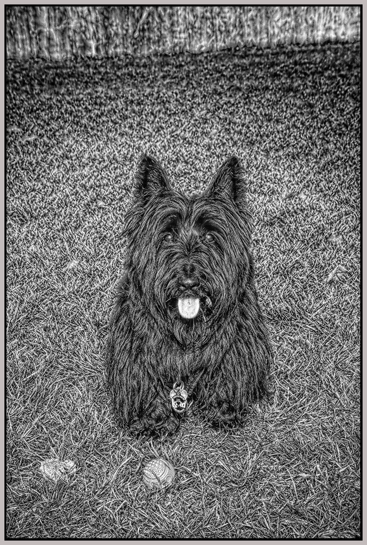 McKay New Westminster_Nov 10_2019_CR2_F2562_peSftPncl_4x6s.jpg