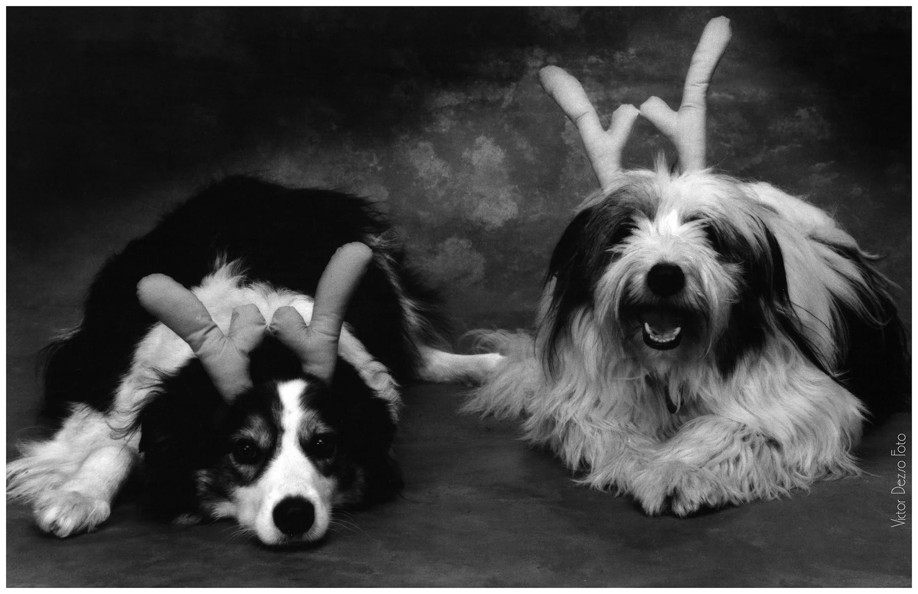 Jasper & Friend 1990's_0071_4x6.jpg