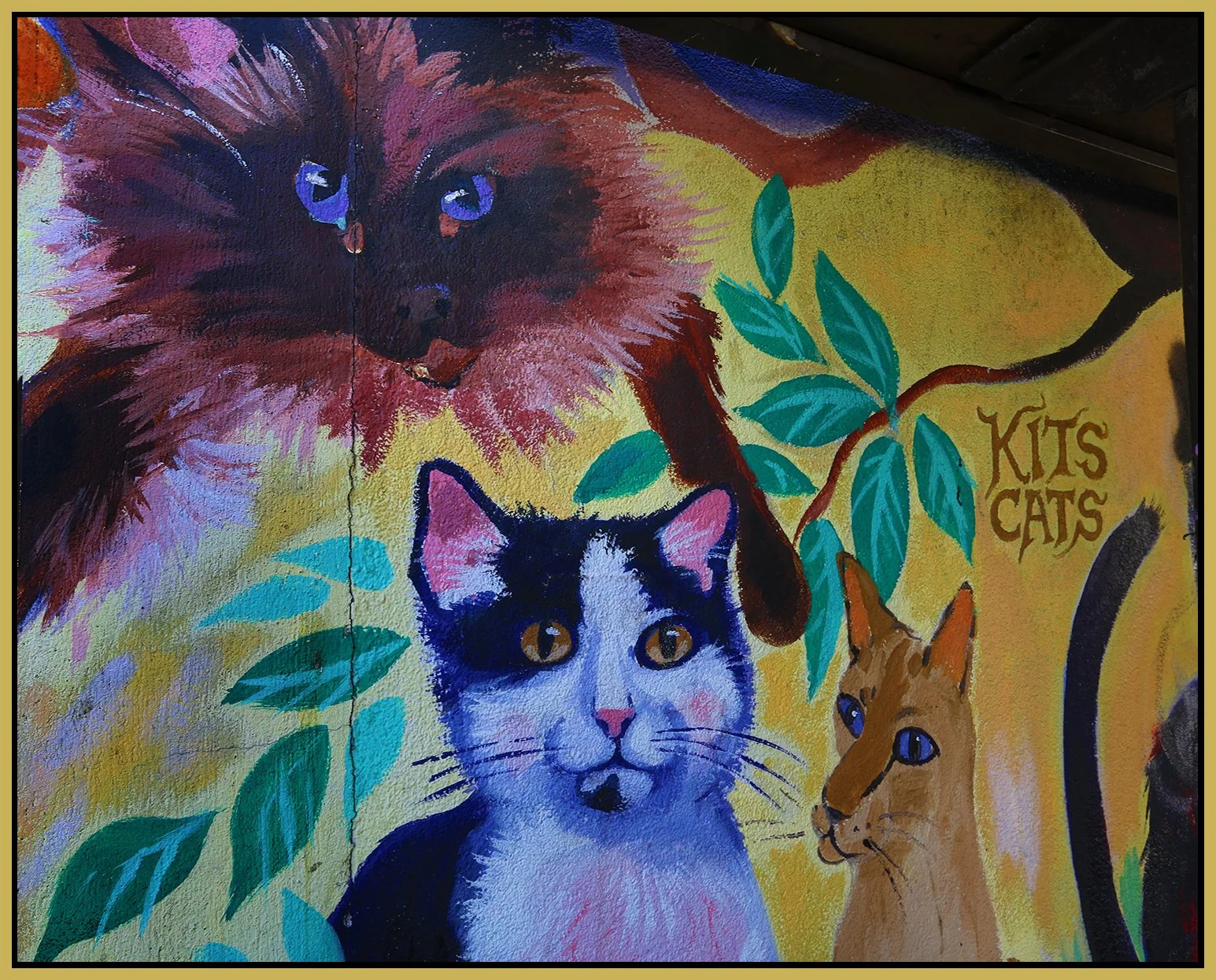 Kits Cats Mural_Apr 18_2014_HDR_E4335_4x5s.jpg