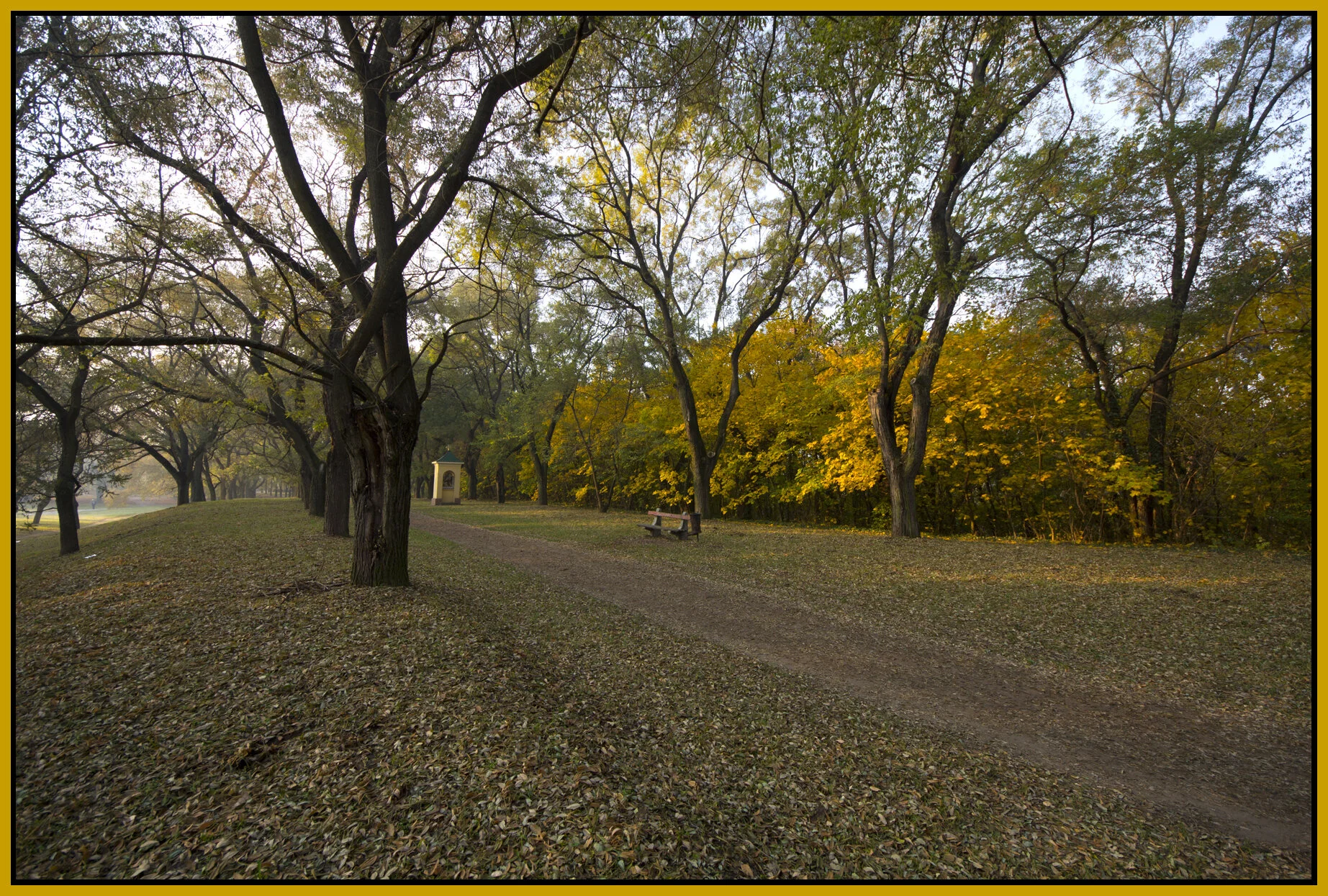 Vác_Nov 1_2011_9074_4x6s.jpg