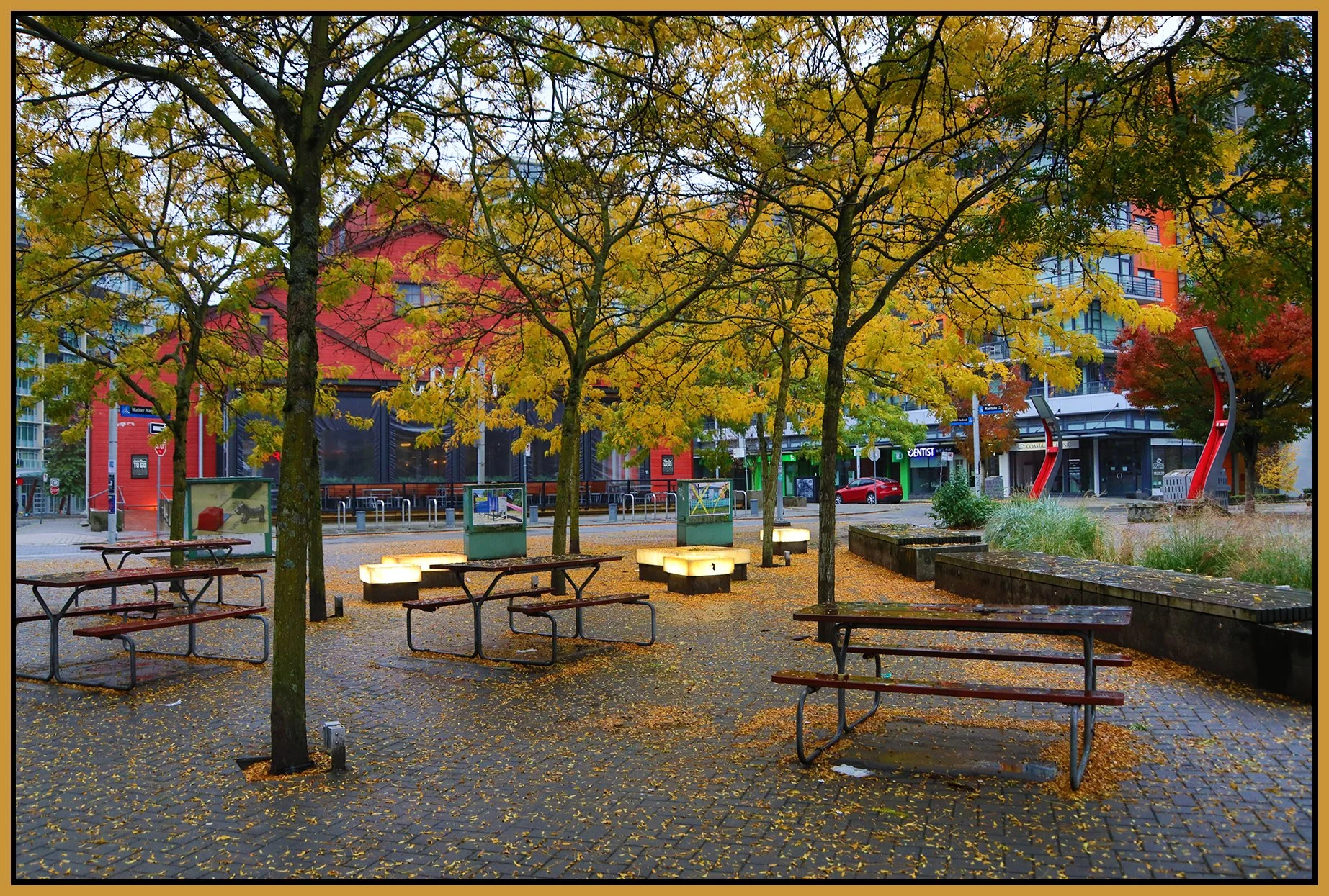 The Village Trees_Oct 14_2024_HDR_4J4360_4x6s.jpg