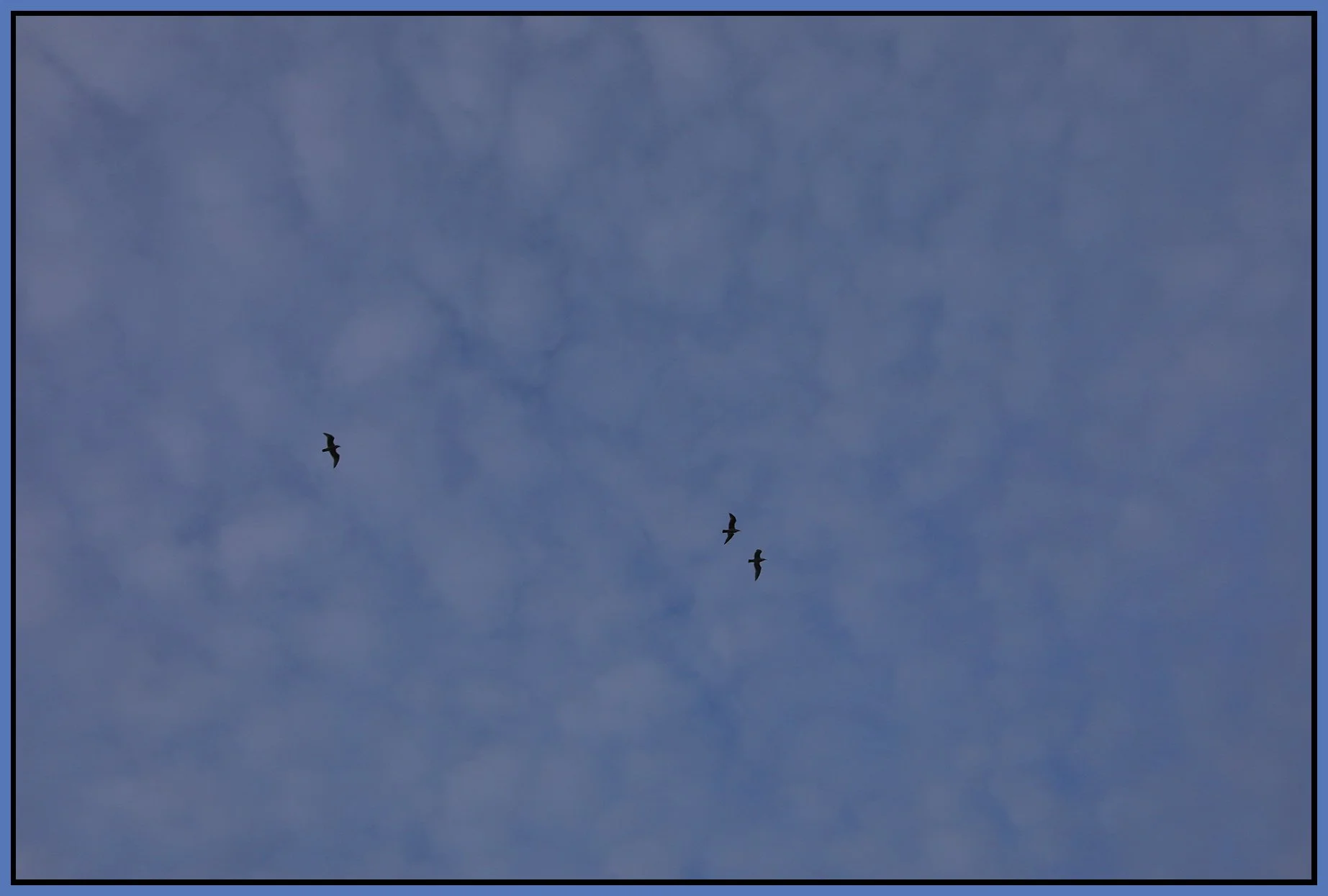 Clouds_Apr 7_2022_5B1557_4x6s.jpg