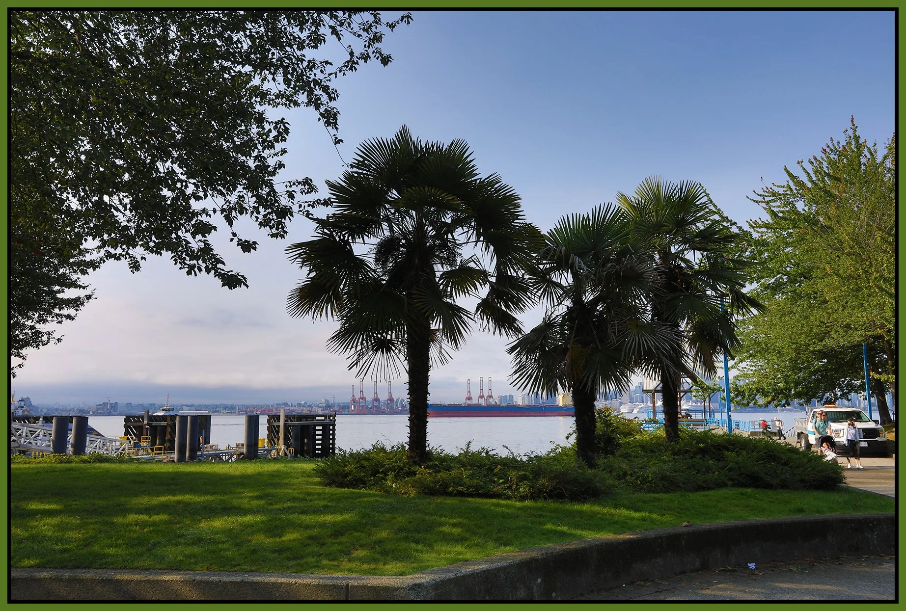 North Van Palms_Sep 2_2024_HDR_5E9834_4x6s.jpg