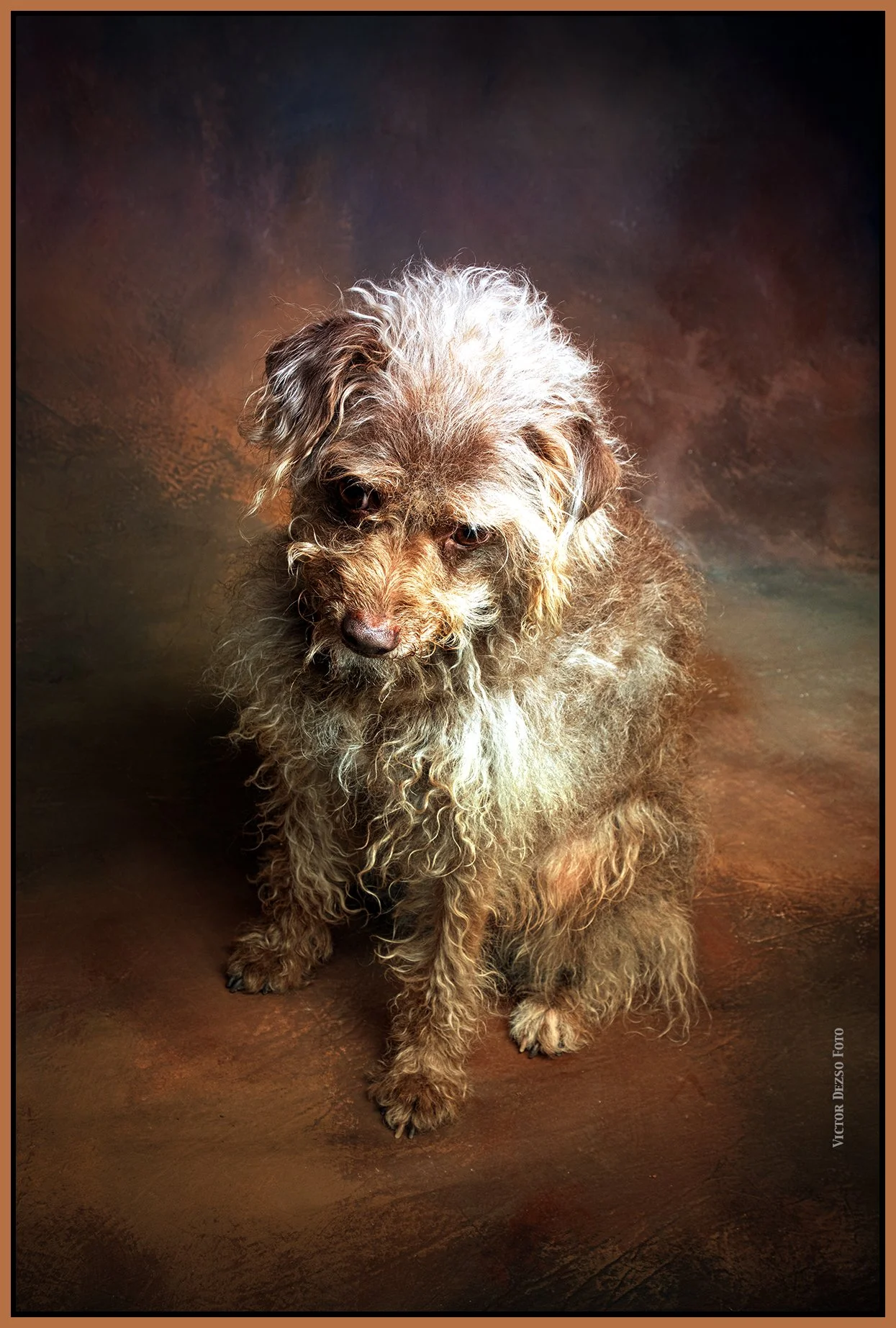 Frances-Jun 11_2023_4H7708_peSunstLevelCrrct_4x6s.jpg