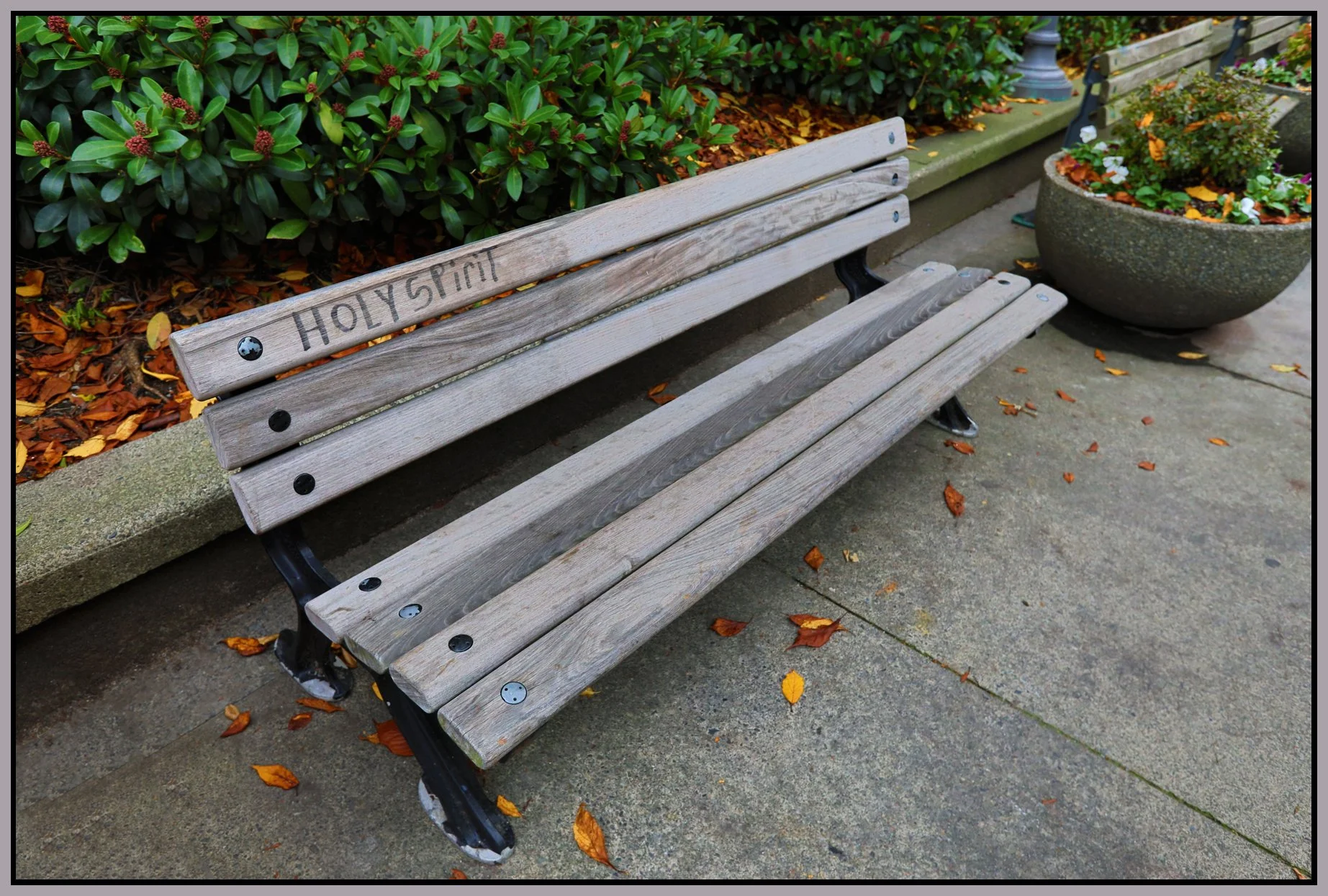 Bench on Hornby_Nov 4_2017_HDR_B7014_4x6s.jpg