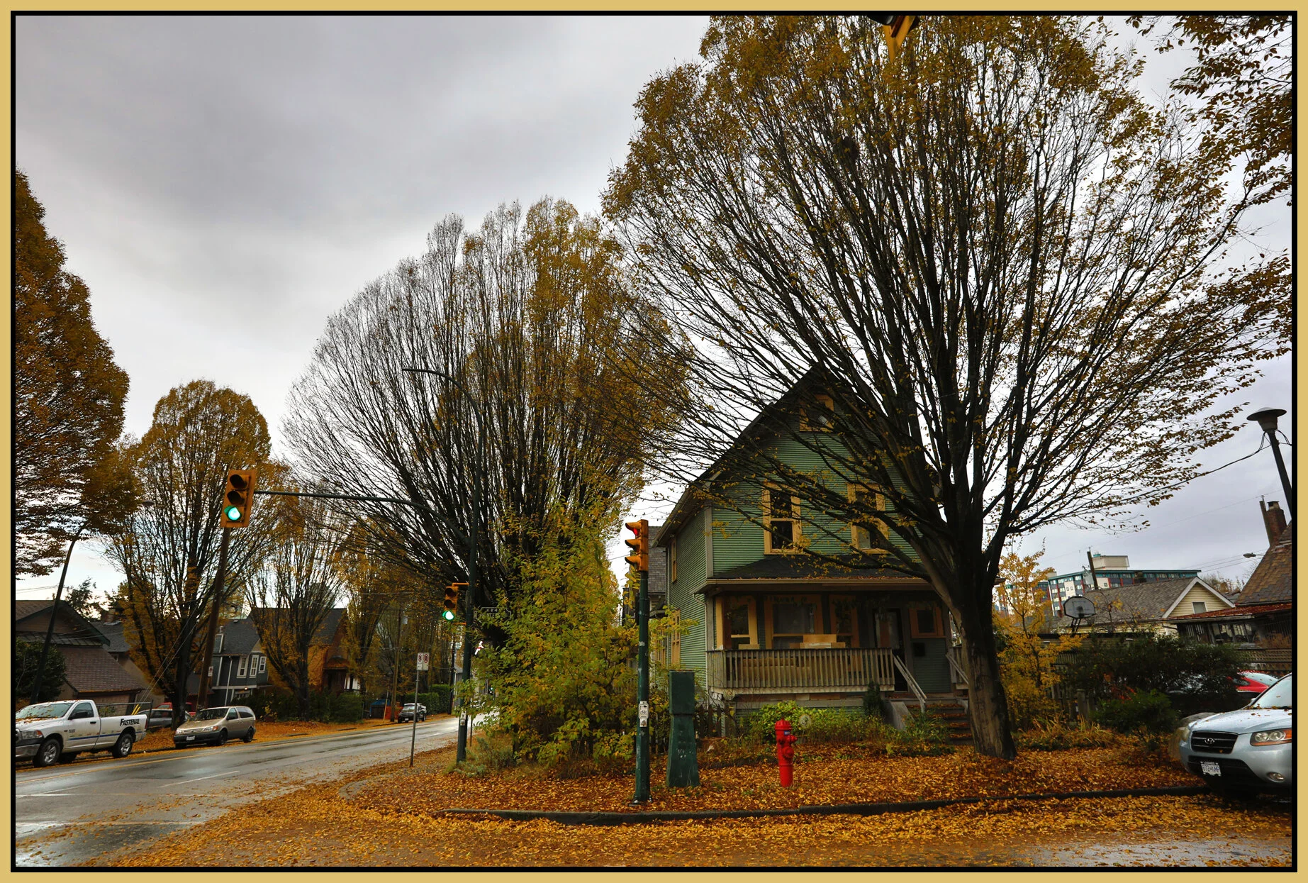 300 Princess Trees_Nov 13_2017_HDR_B9606_4x6s.jpg